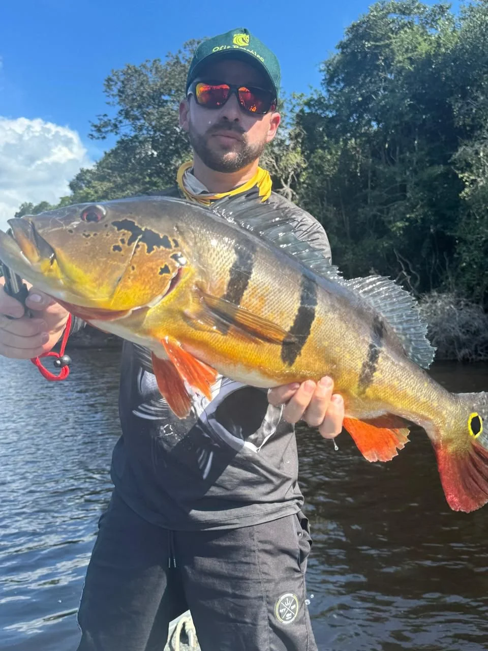 A man wearing sunglasses, a cap, and fishing gear holding a large fish with yellow, black, and red markings near a river with trees in the background.