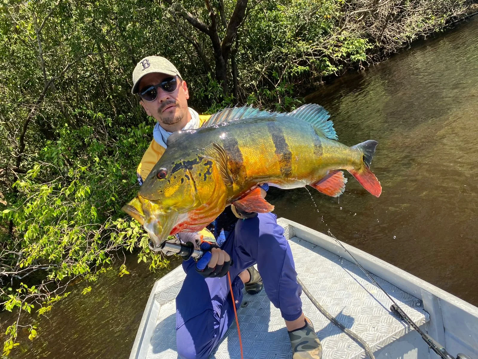 A man in sunglasses, a beige cap, and yellow jacket holding a large, colorful fish on a boat in a river with greenery in the background.