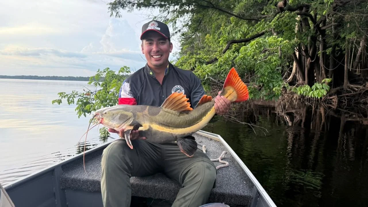 Man sitting in boat holding a large fish with orange fins near a shoreline with green trees.