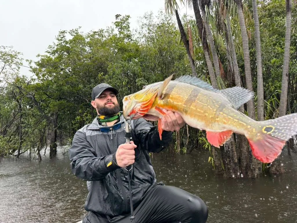 Man in raincoat and hat holding a large fish with bright colors, standing in a flooded area with trees in the background.