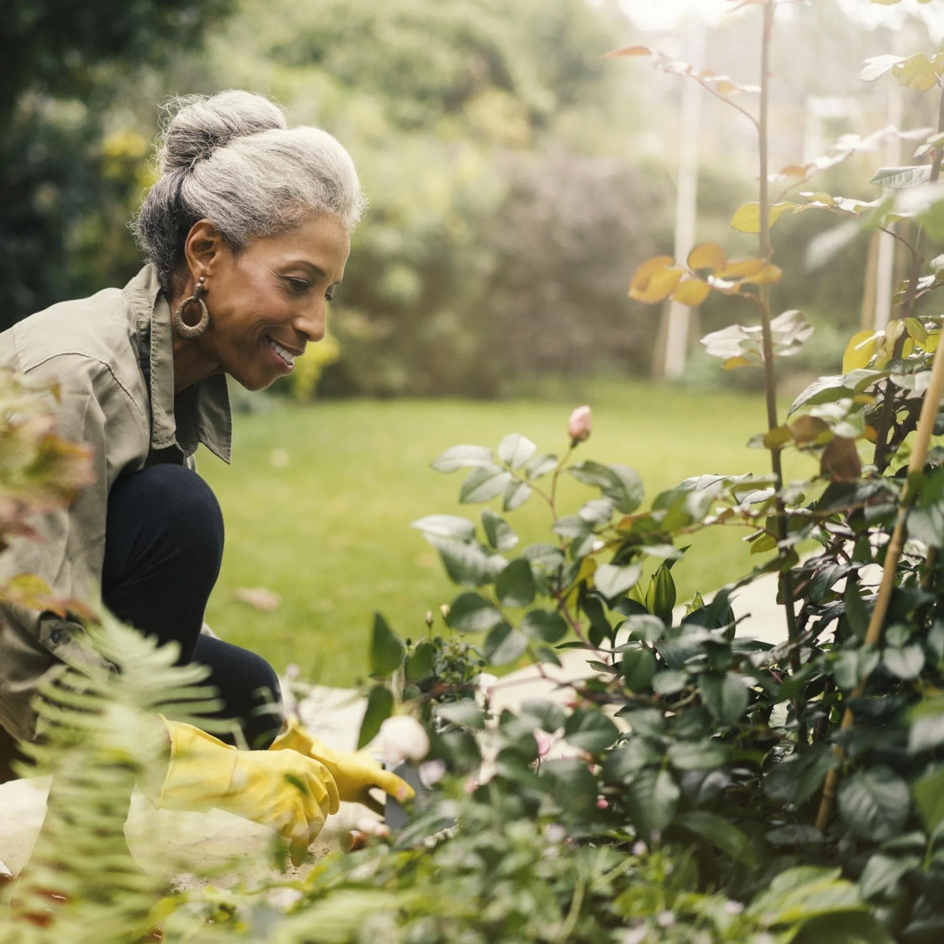 Menopause Supplements: What the Evidence Says