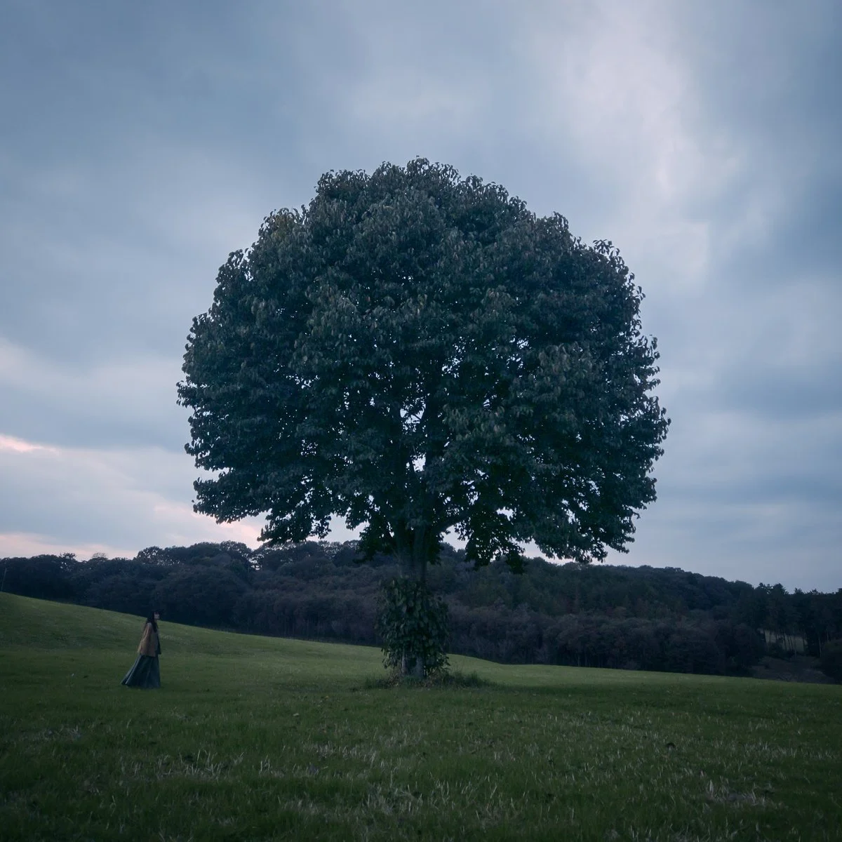 A Walk in the Woods (Soundtrack)