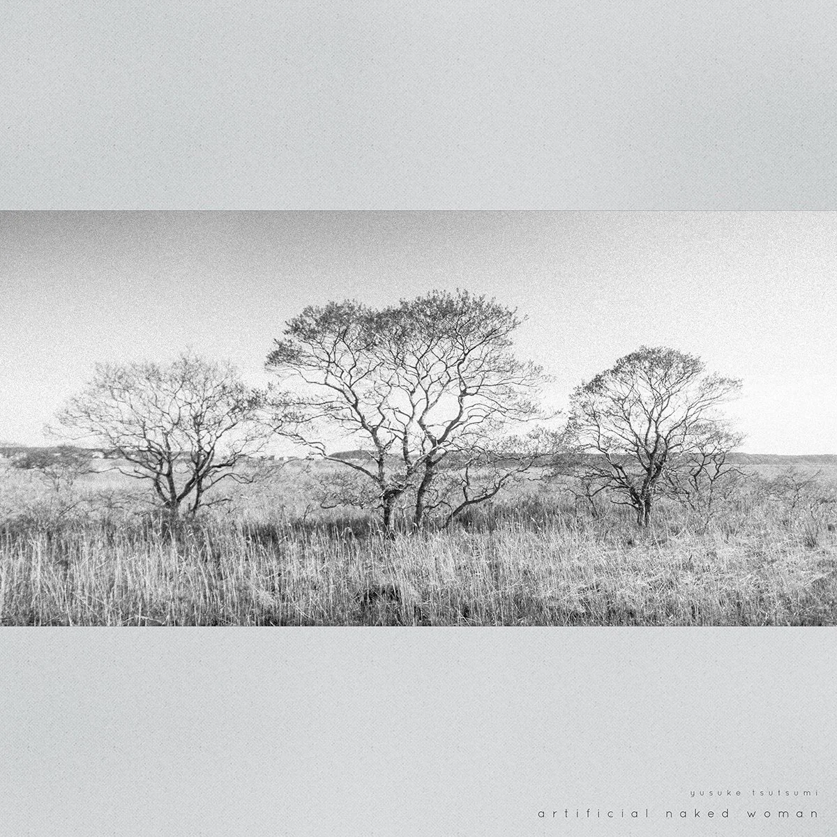 Artificial naked Woman (2010)