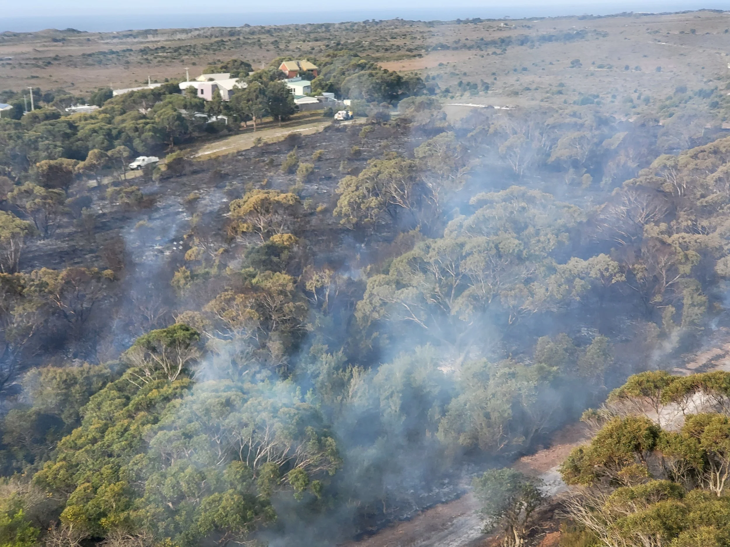 A forested area with some smoke and small patches of burnt trees, with residential houses and buildings nearby.