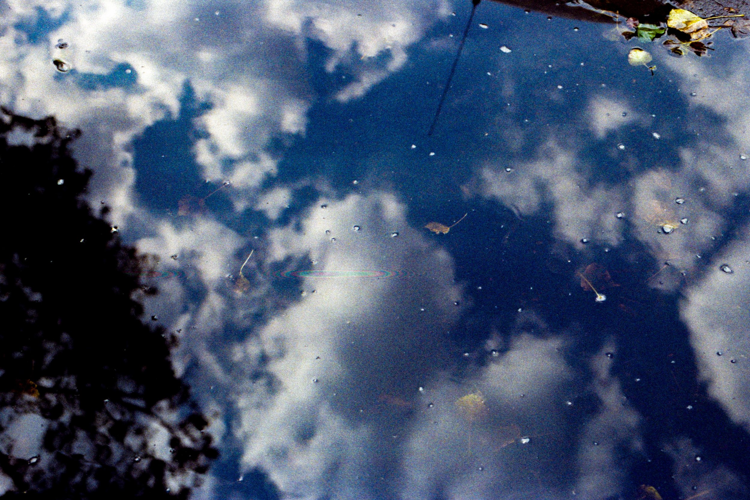analoga 2026010.jpg