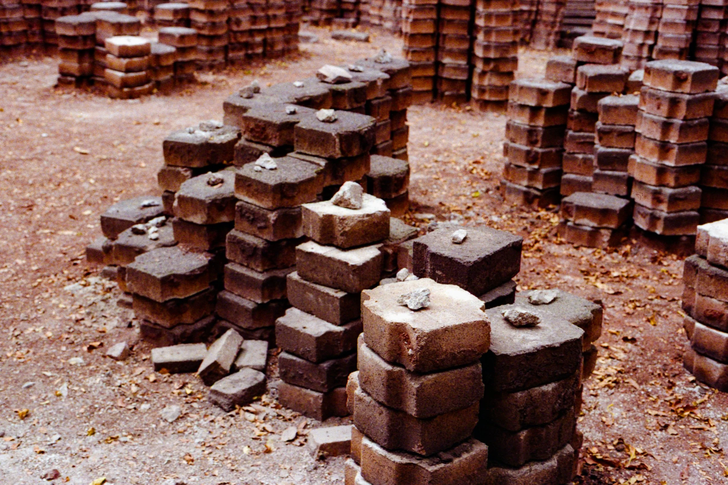 analoga 2026011.jpg