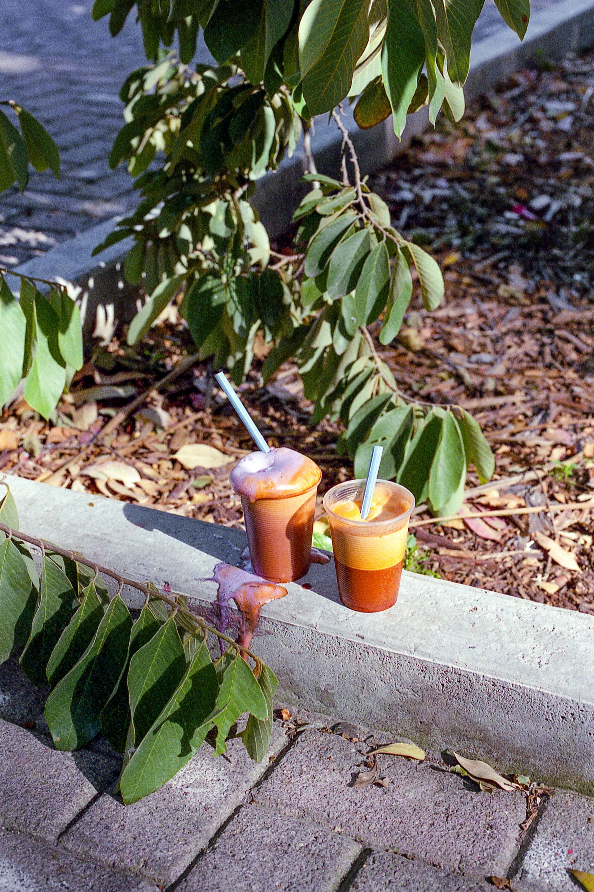 Cita, Bosque de Chapultepec, CDMX, 2021