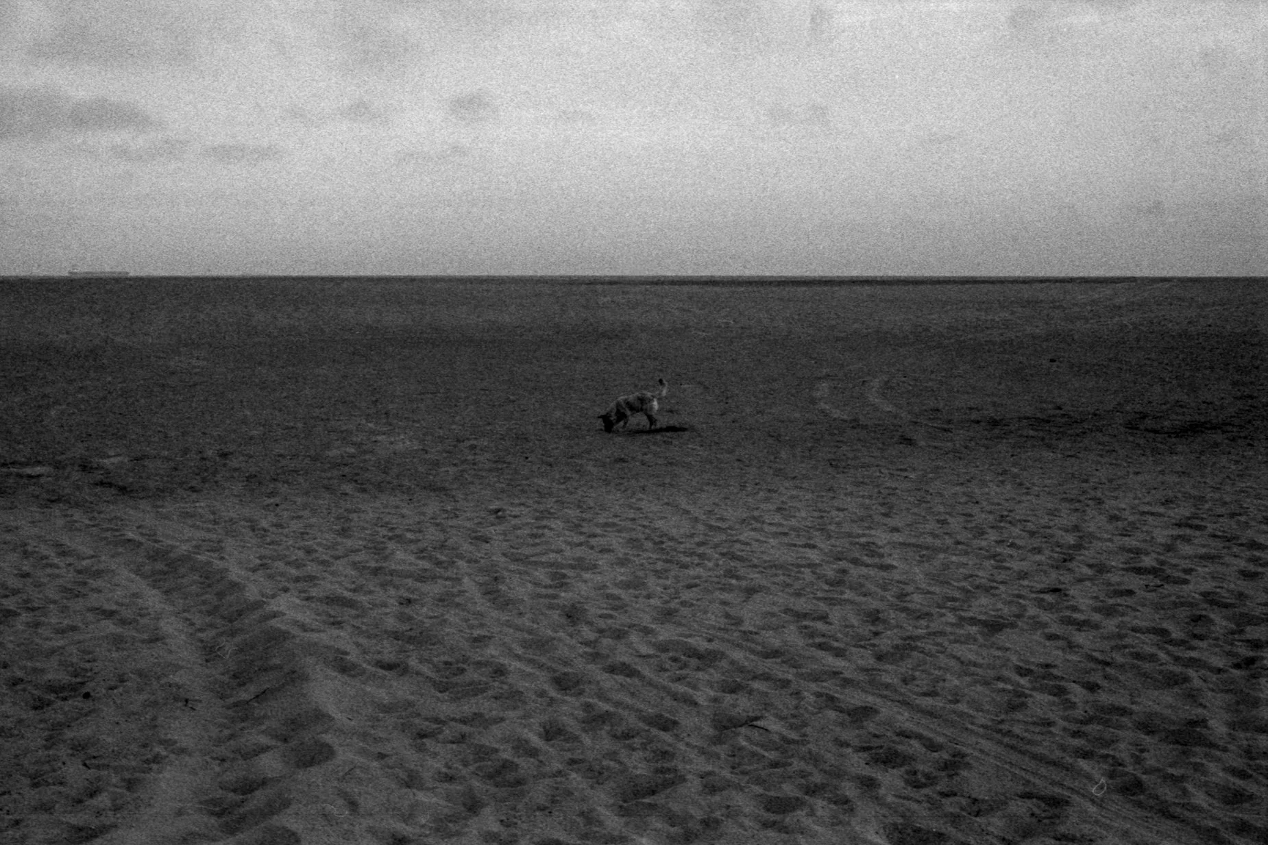 salon plata gelatina0024.jpg