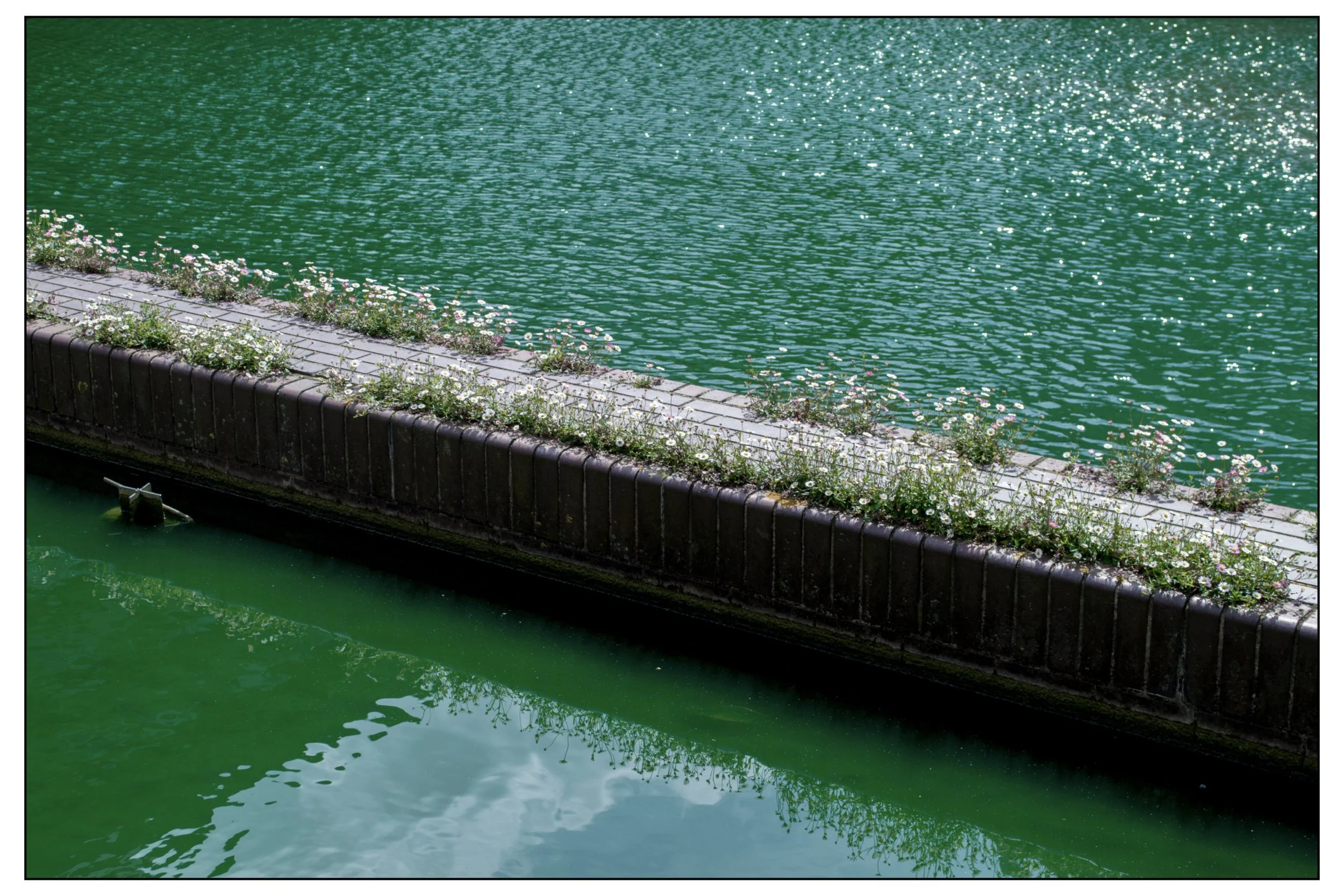 post mgmz horizontal.003.jpeg