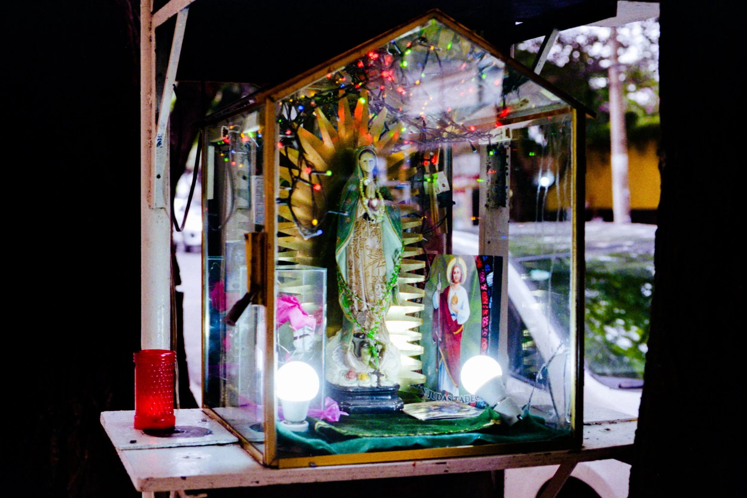 analoga 2026002.jpg