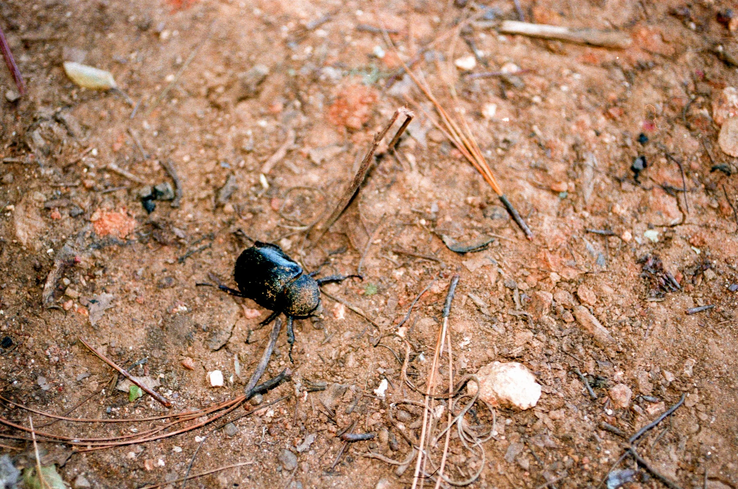 sierra madre del sur-21.jpg