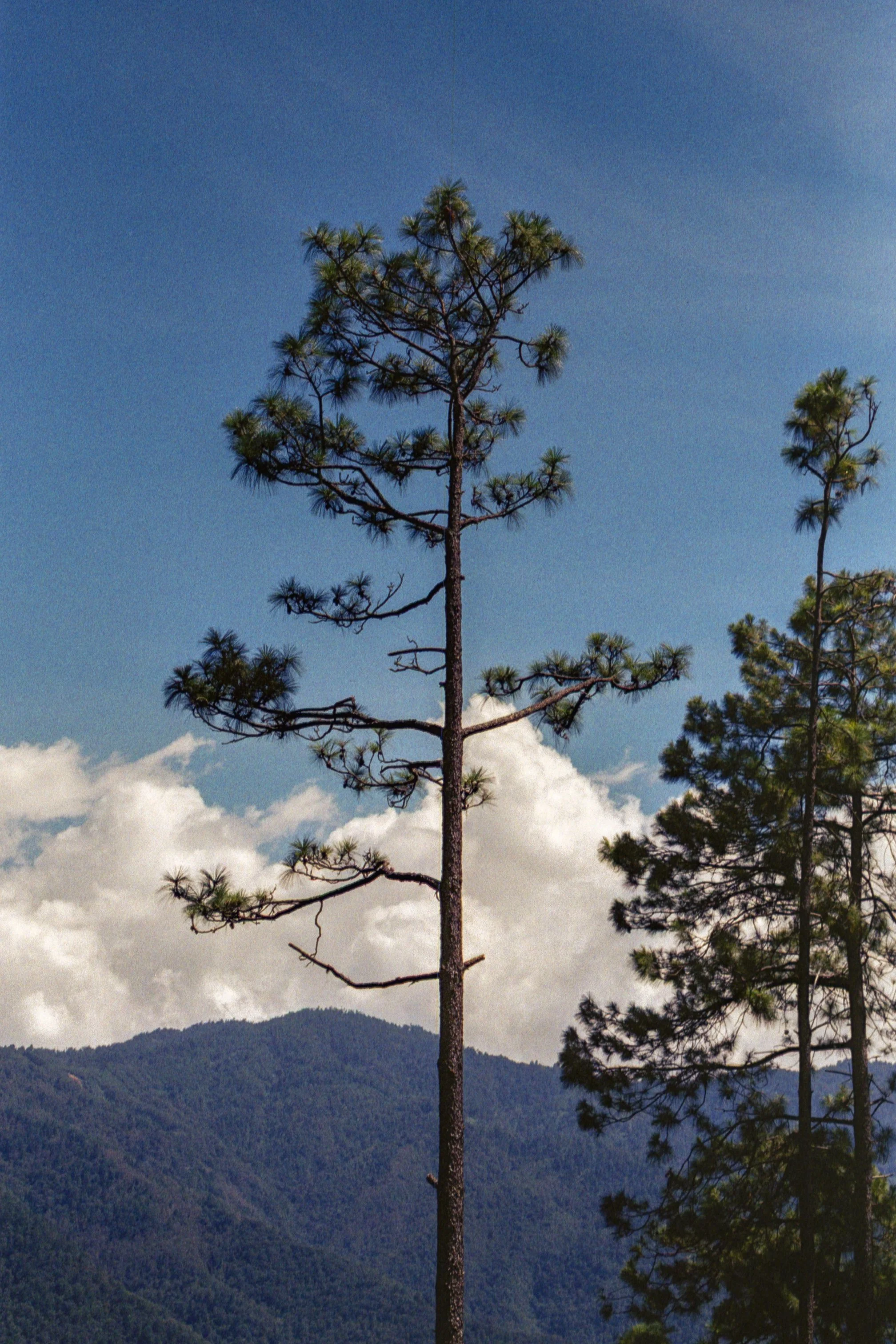 sierra madre del sur-3.jpg