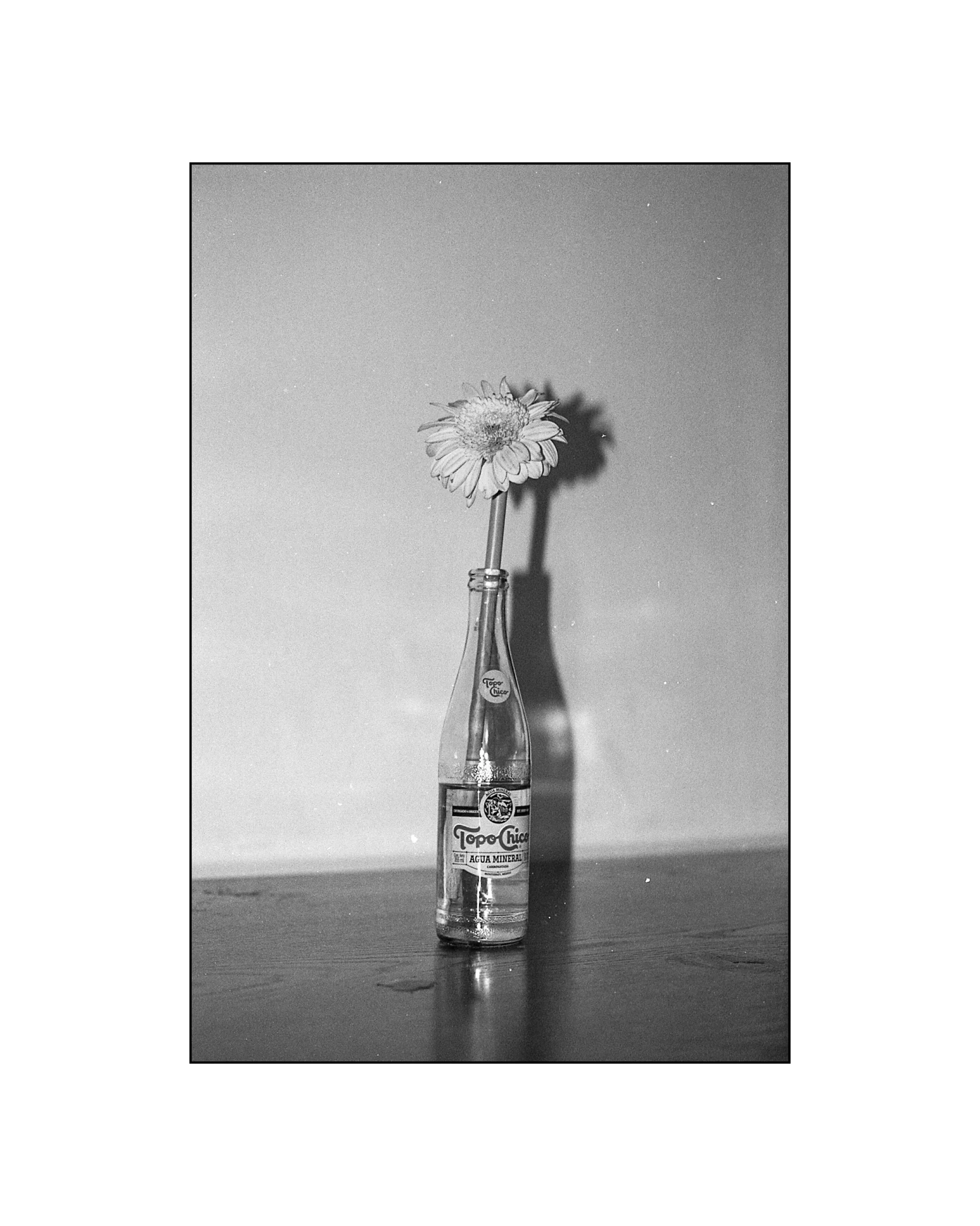 Sin título 3.003.jpeg