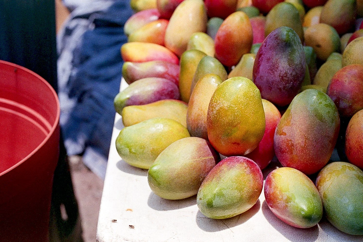 Varias mangos de diferentes colores descansando en una mesa en un mercado, con una persona en el fondo y un cubo rojo a la izquierda.