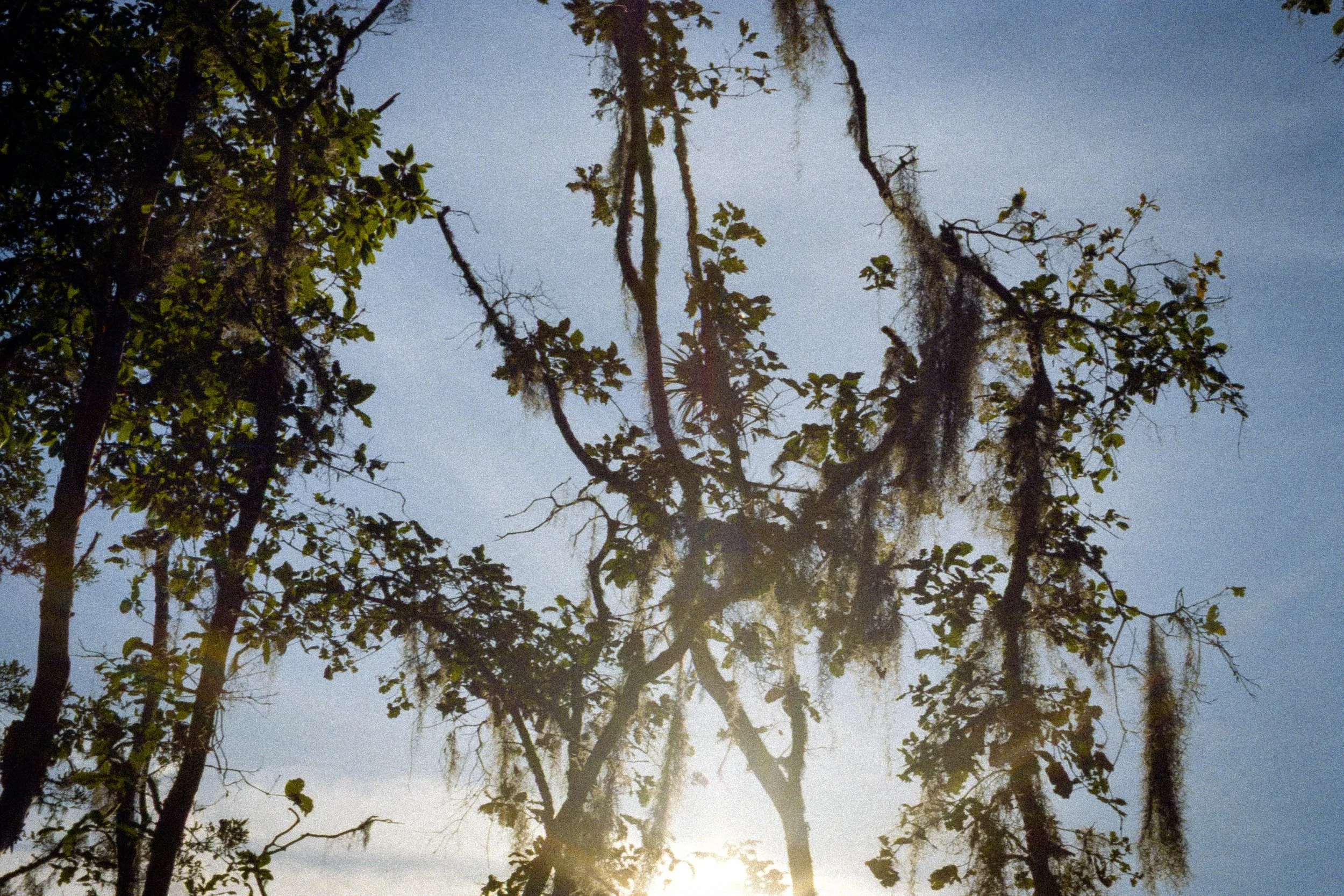 sierra madre del sur-10.jpg