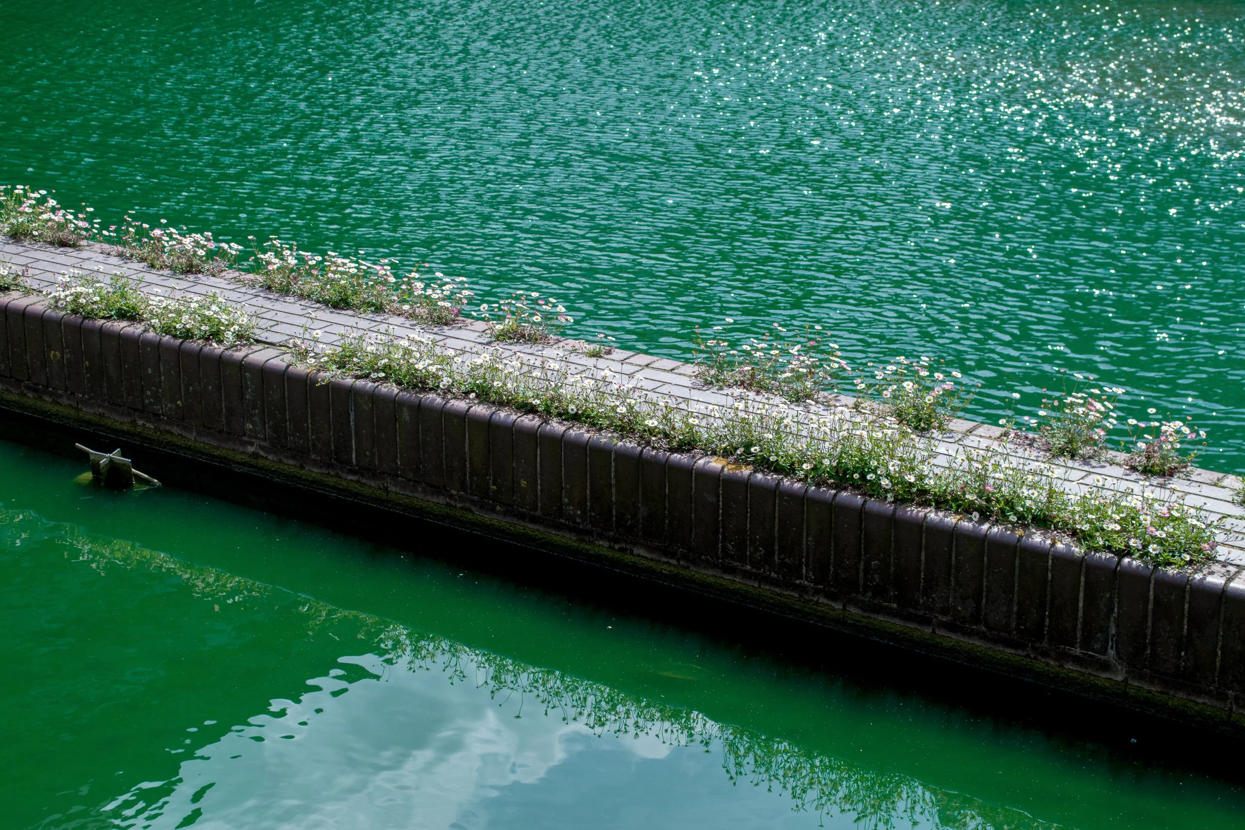 Flores en el Barbican, Londres, Reino Unido, 2023