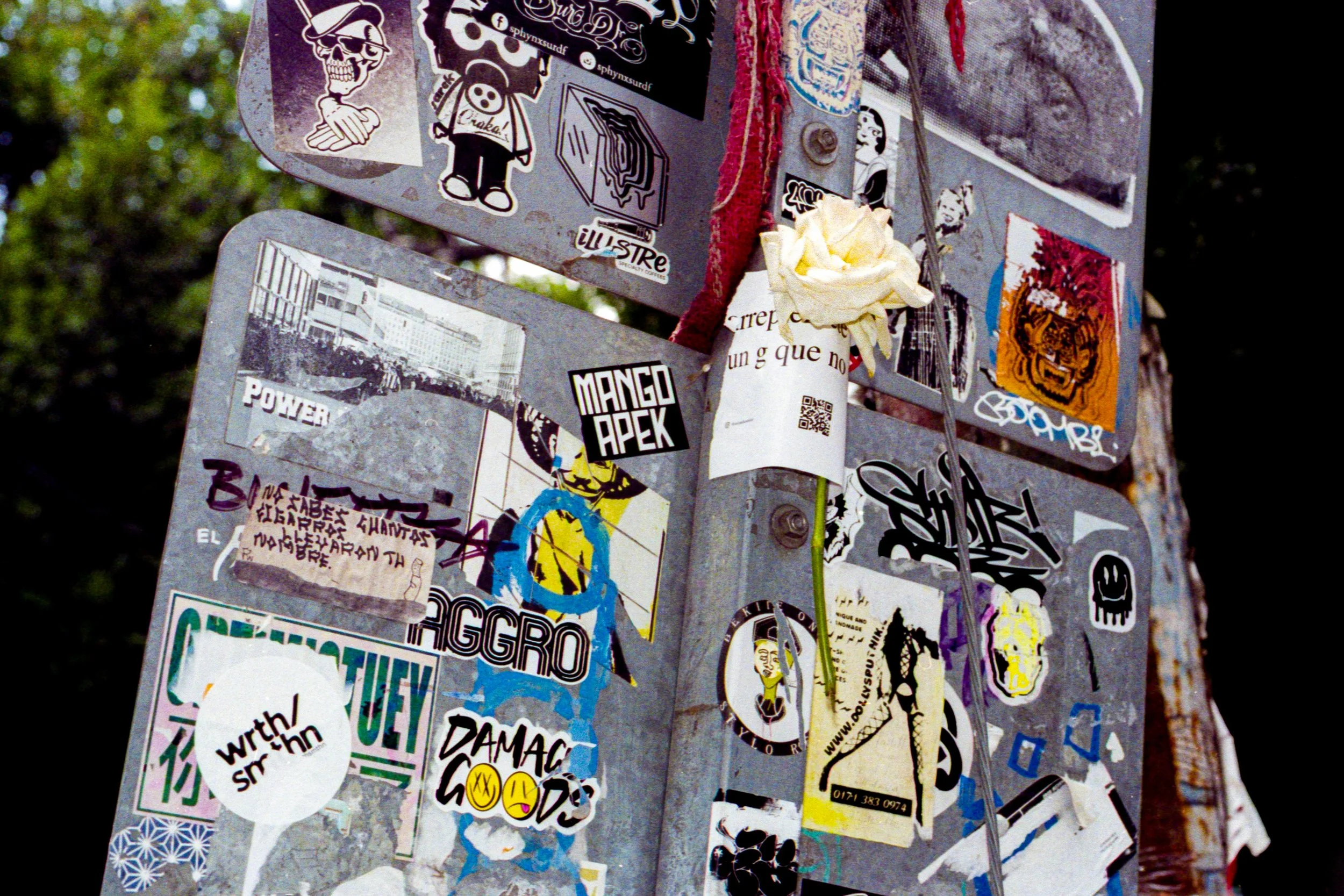 analoga 2026012.jpg