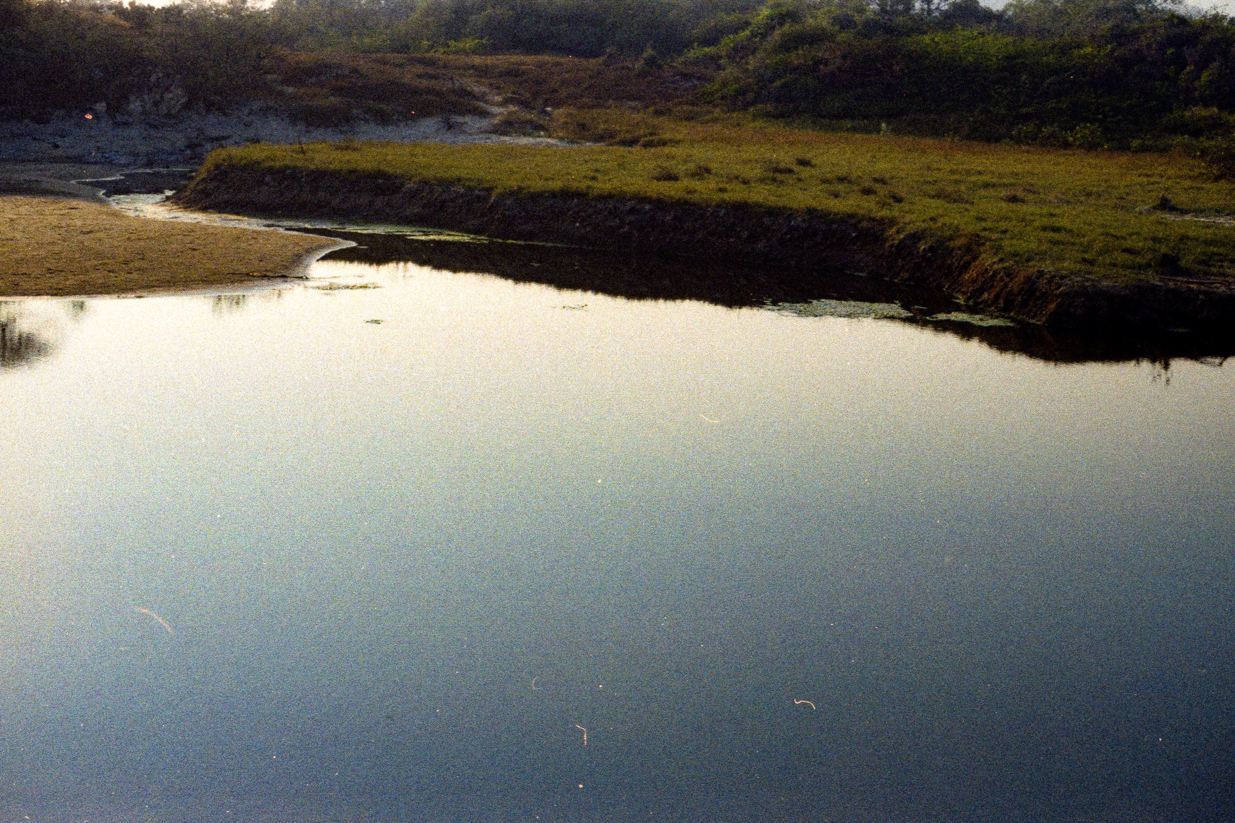 laguna, He soñado muchas veces con el mar (unedited), 2026