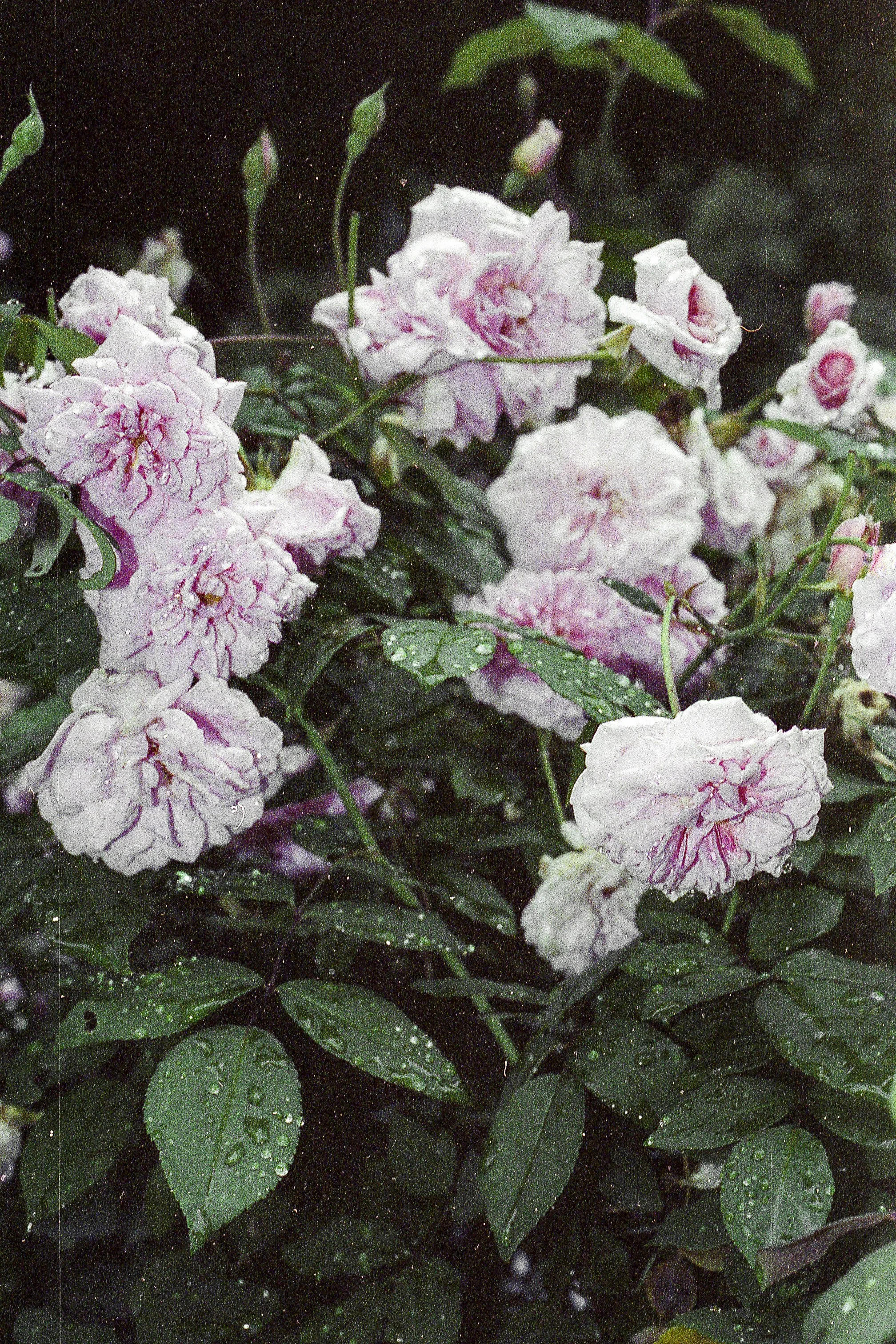 venta mayo catalogo 19.jpg