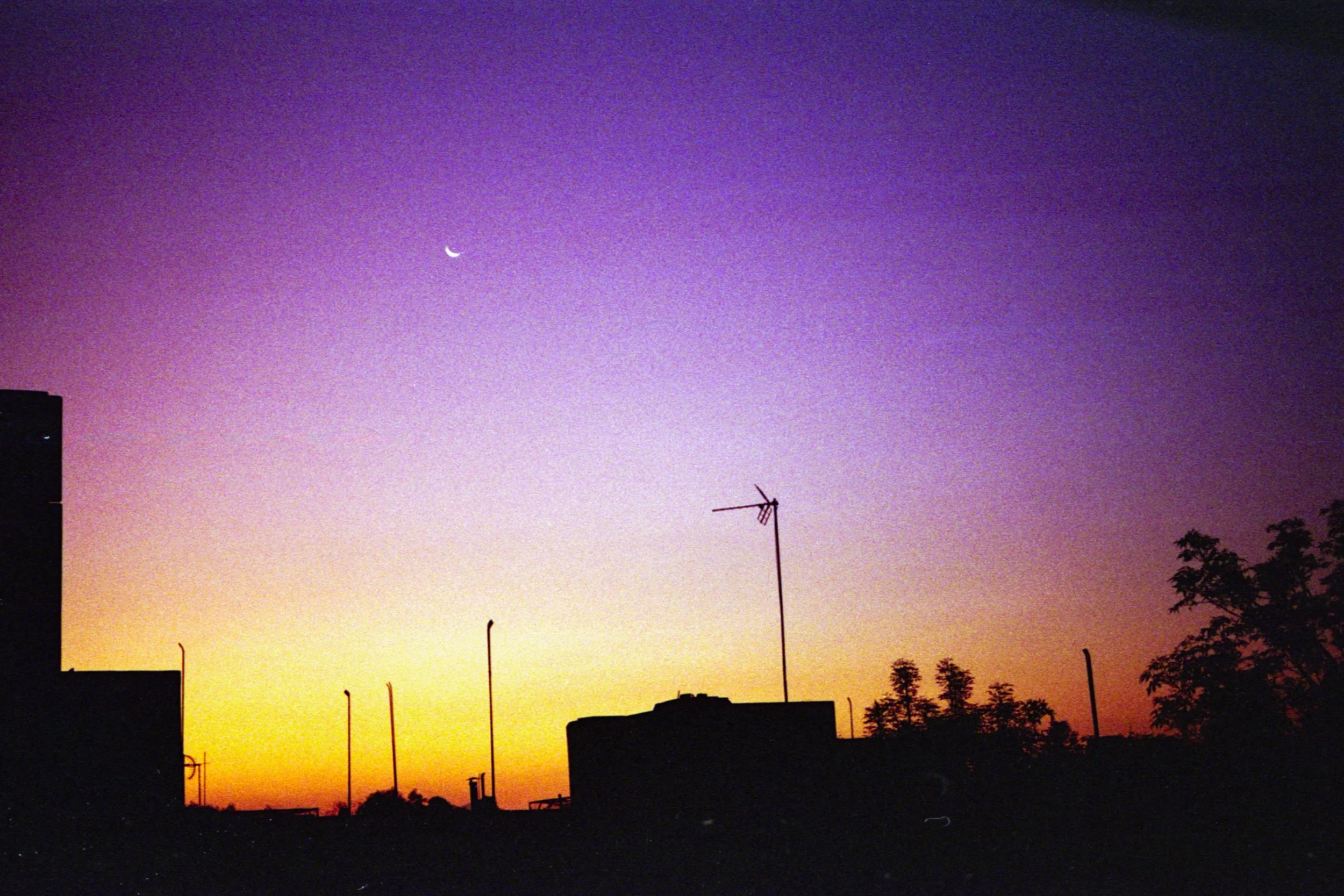 analoga 2026014.jpg