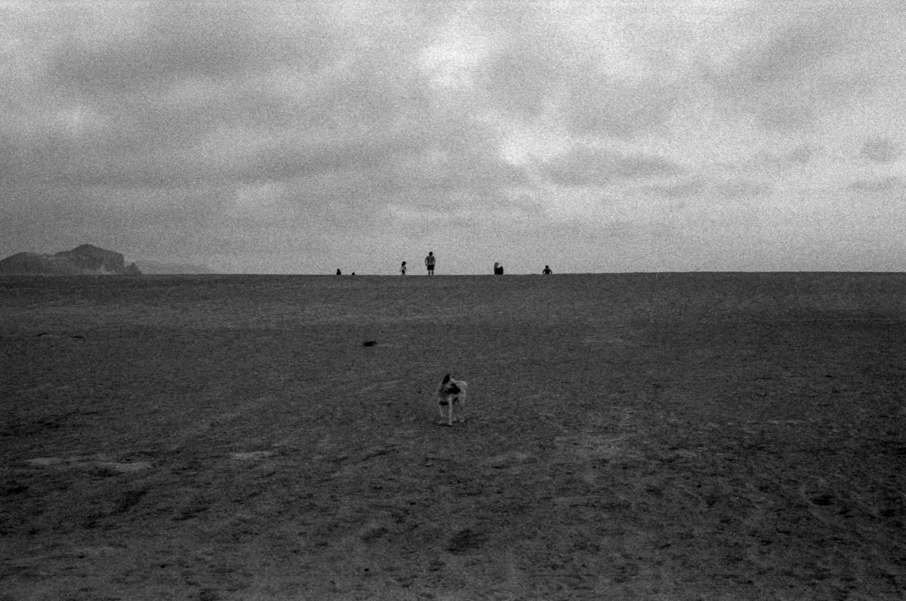 salon plata gelatina0023.jpg