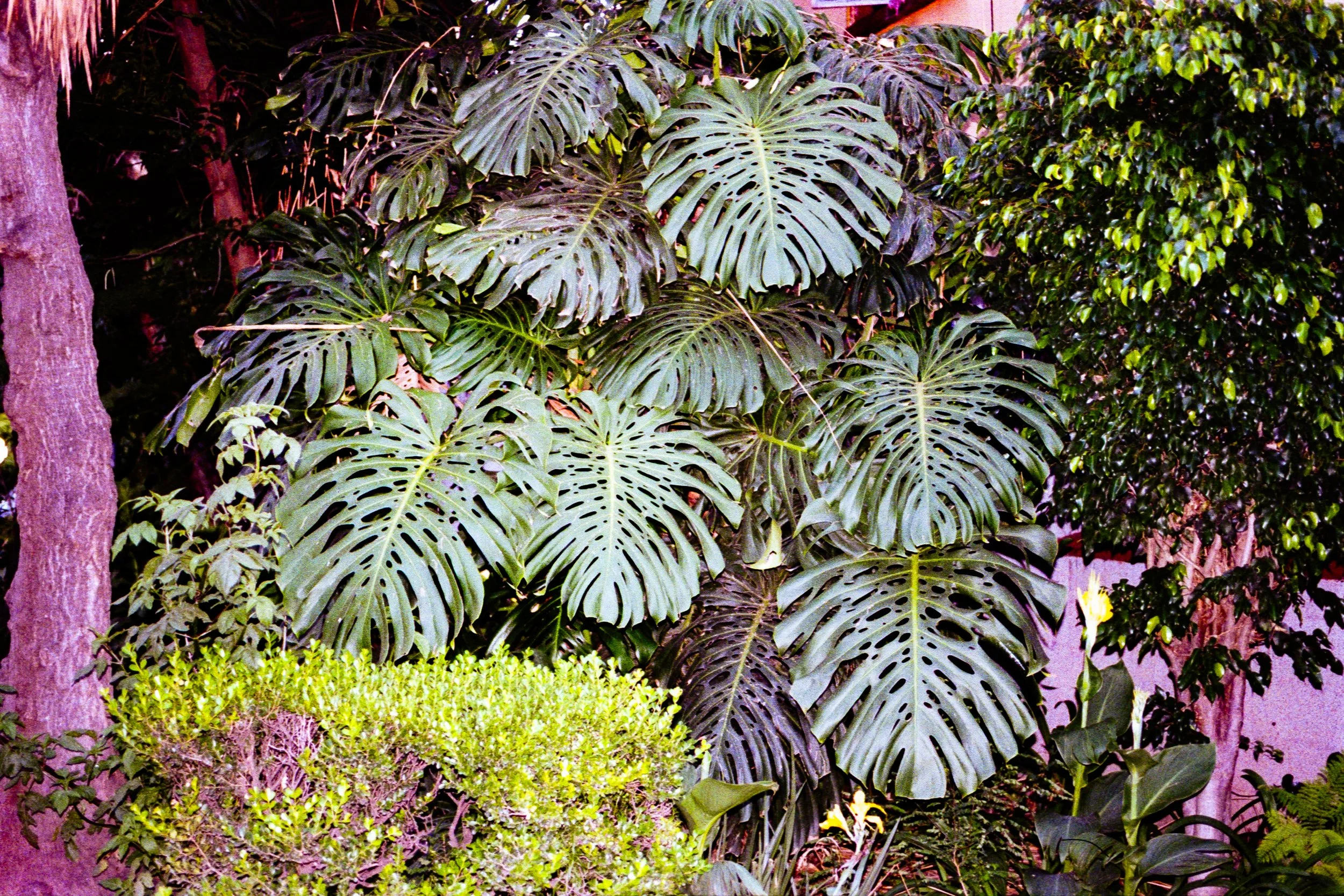 naturaleza-1.jpg
