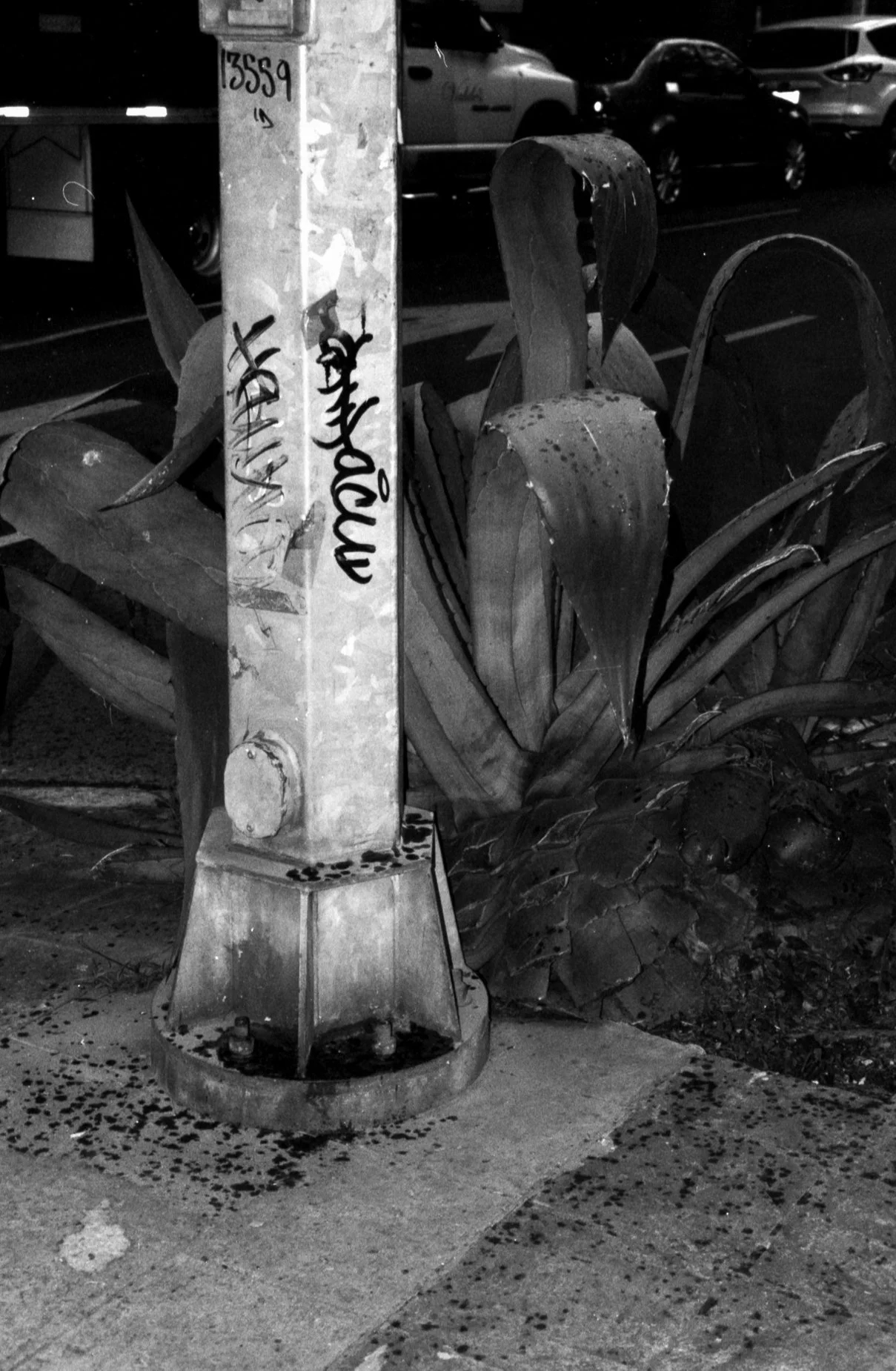 salon plata gelatina0028.jpg