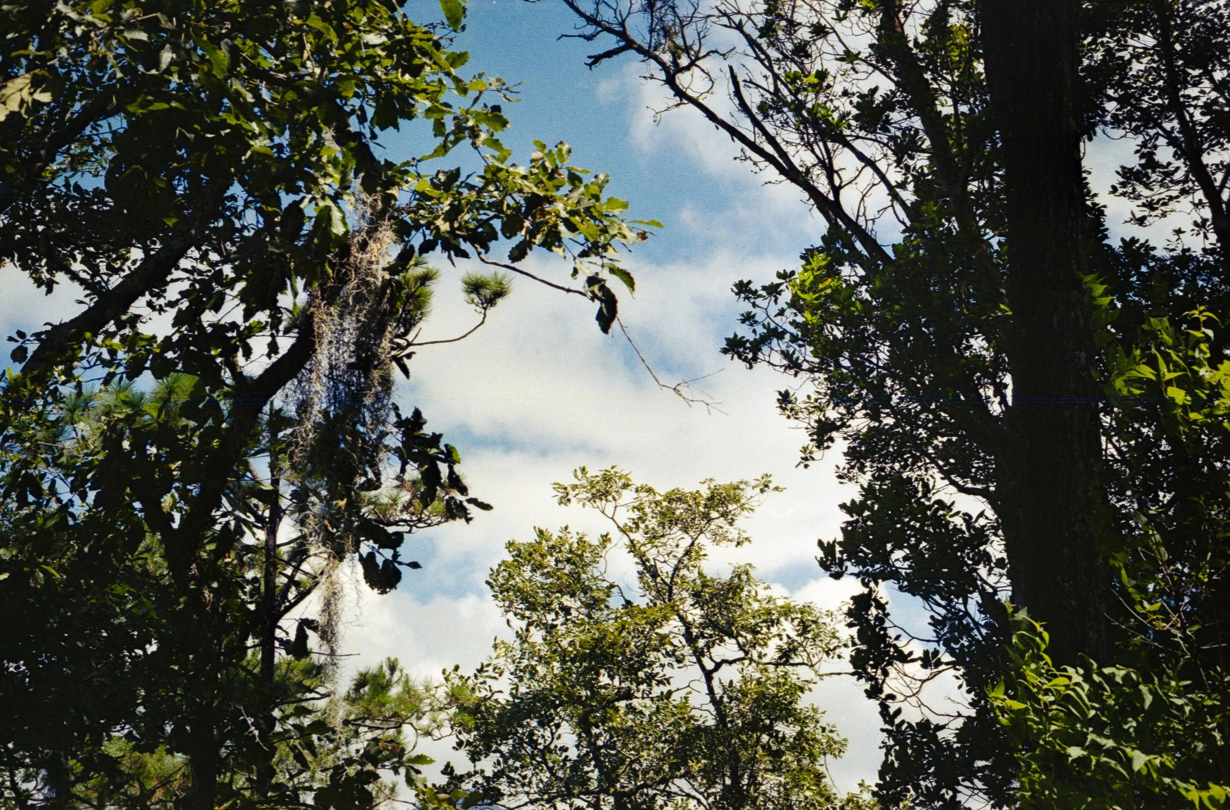 sierra madre del sur-19.jpg