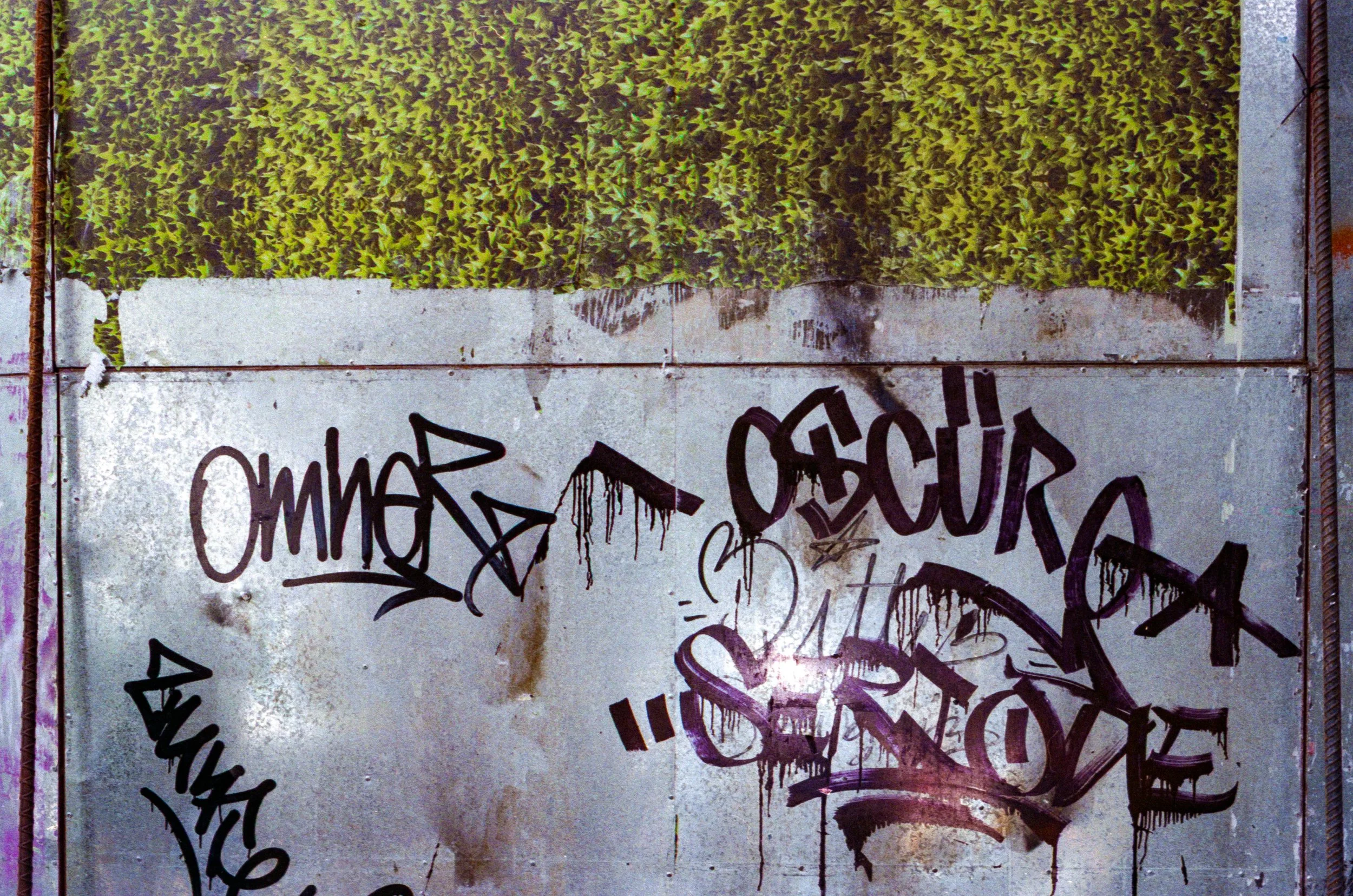 analoga 2026008.jpg