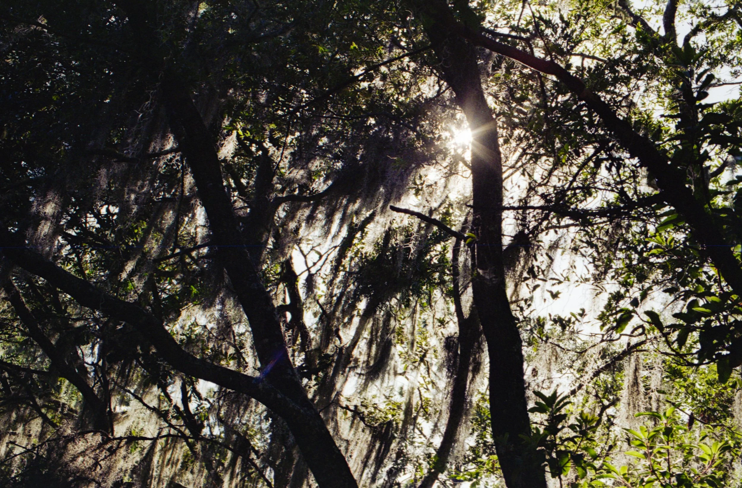 sierra madre del sur-6.jpg