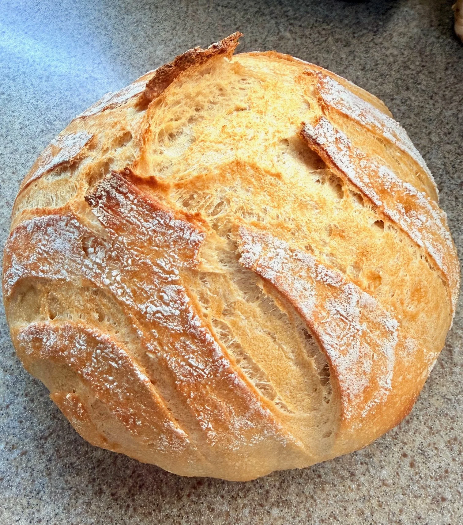 FMF Classic Artisan Sourdough