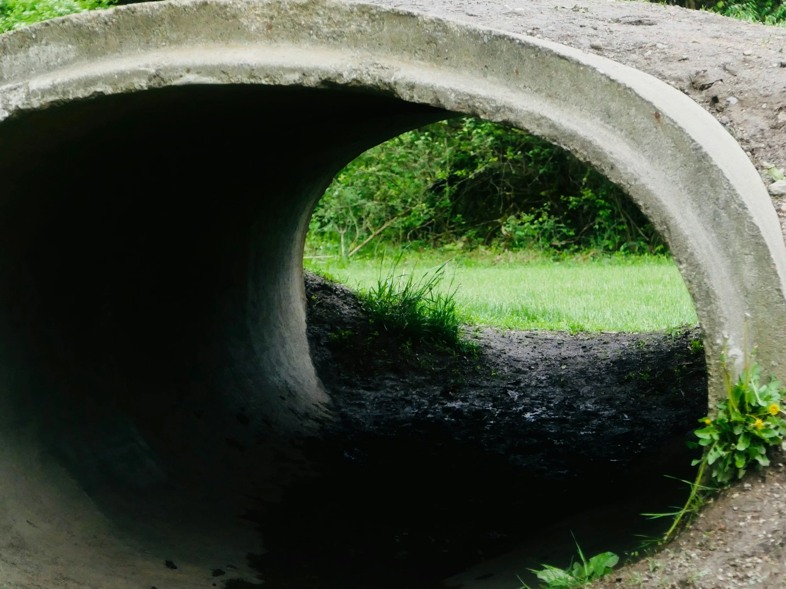 View through a concrete drainage pipe showing green grass and bushes outside.