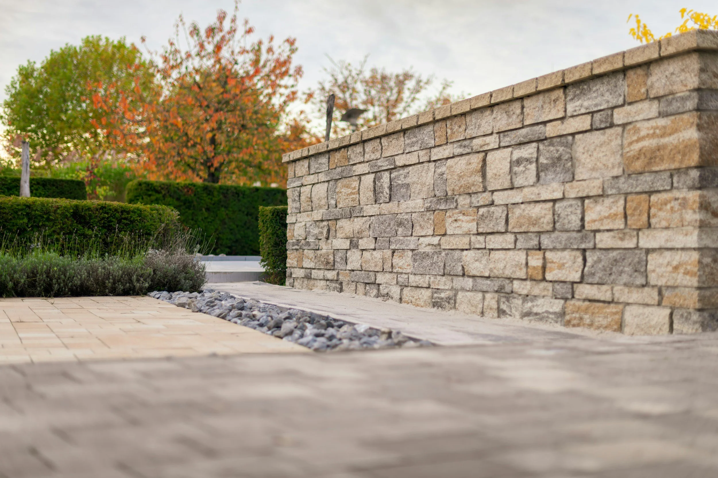 View of a stone wall and a paved pathway in a landscaped yard with shrubs and trees showing fall foliage.