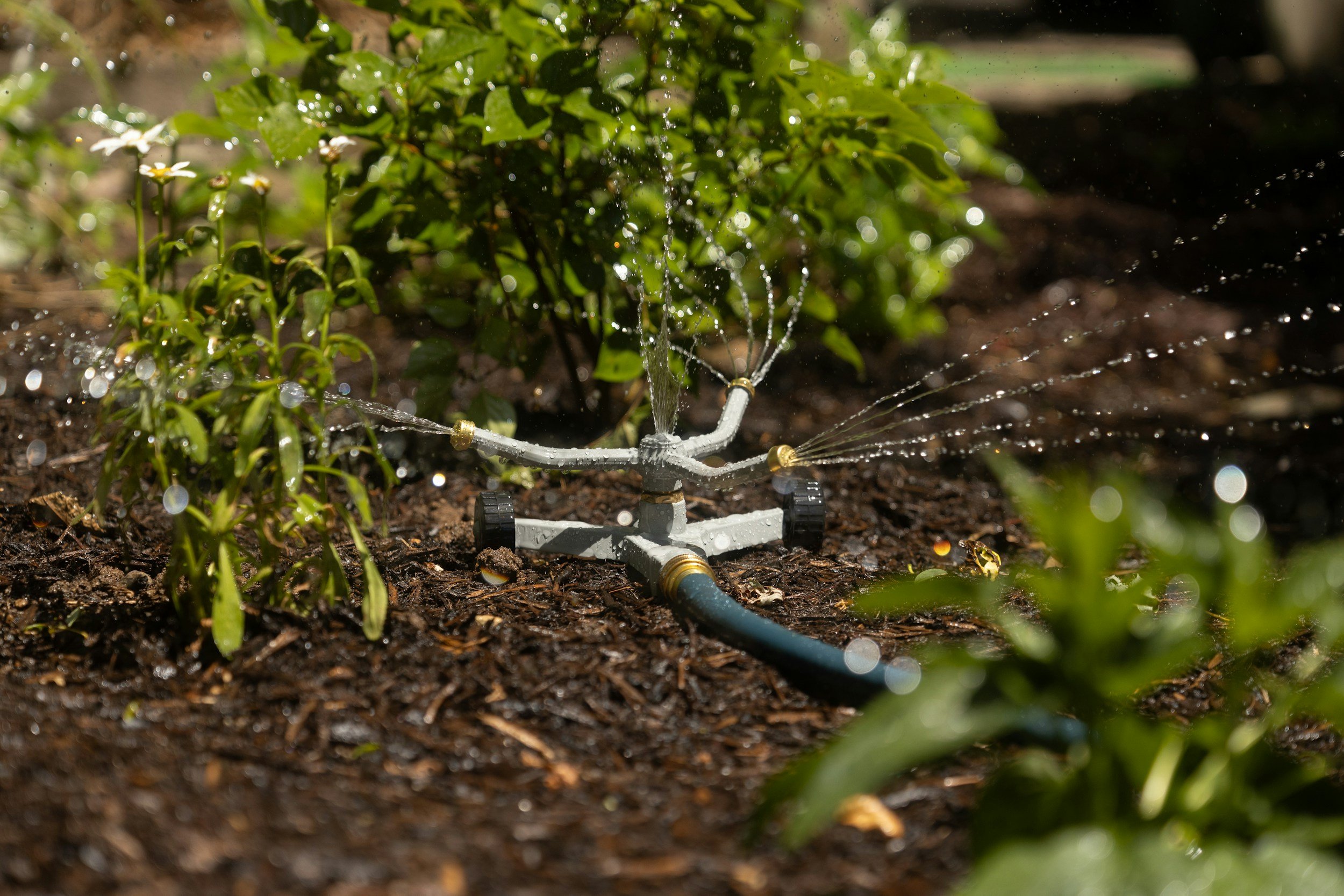A garden sprinkler watering plants in a garden bed.