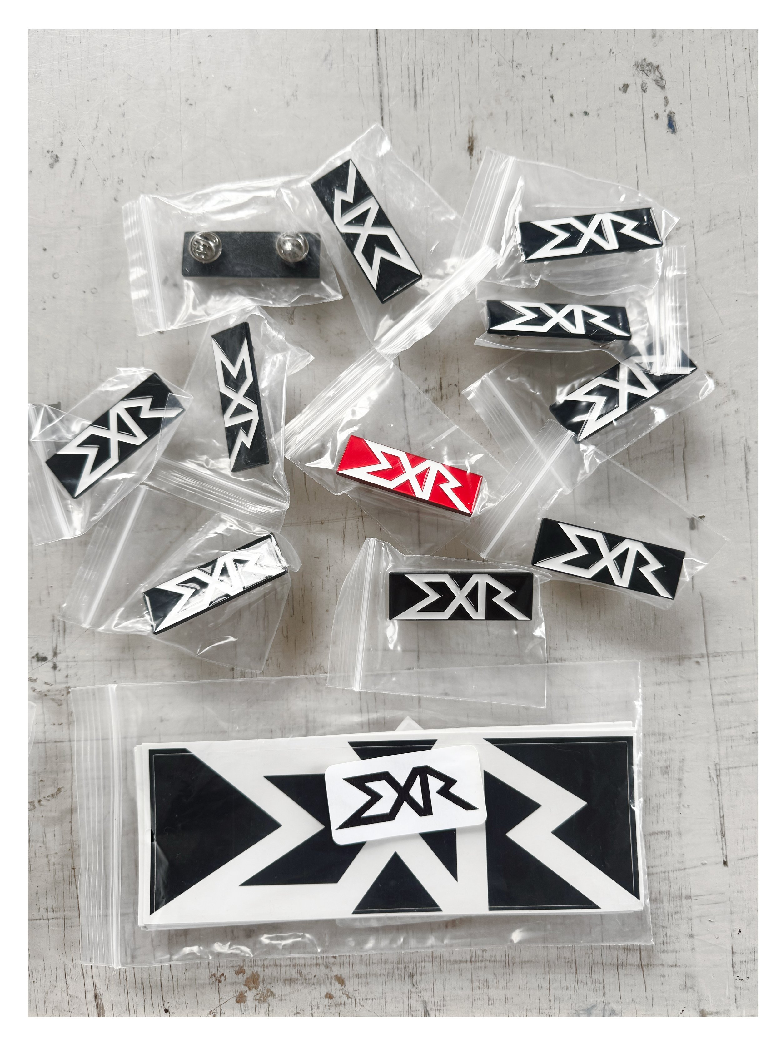 EXR PIN 3.jpg