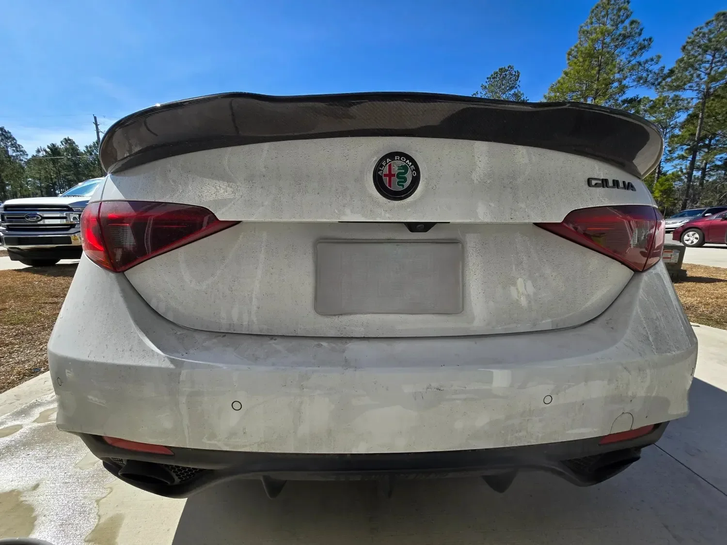 Dull paint and road film