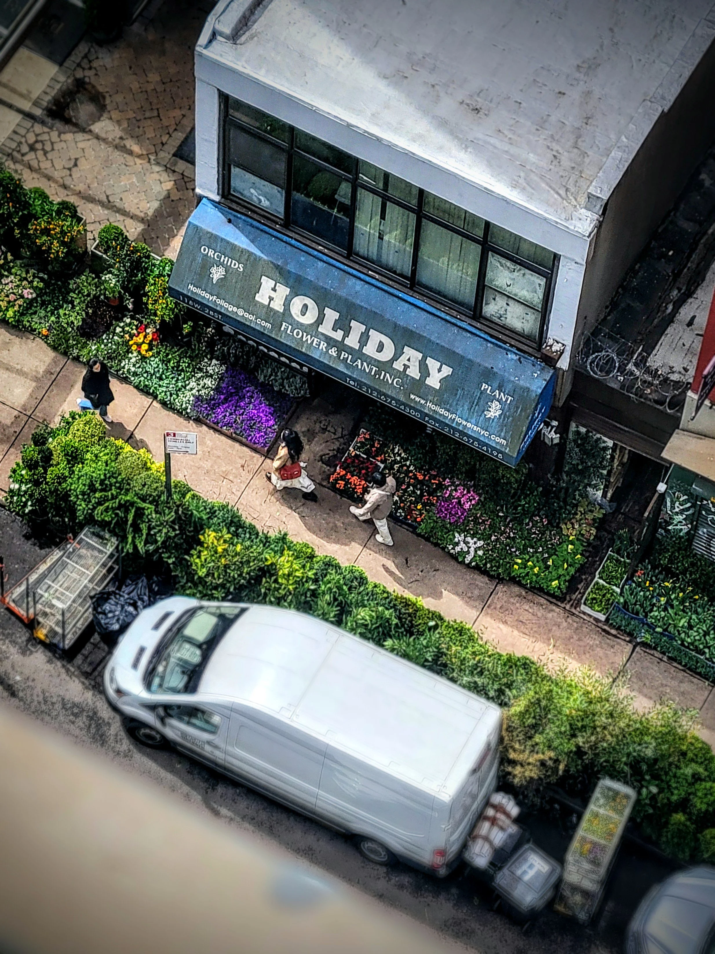 Digital photograph shot in New York City