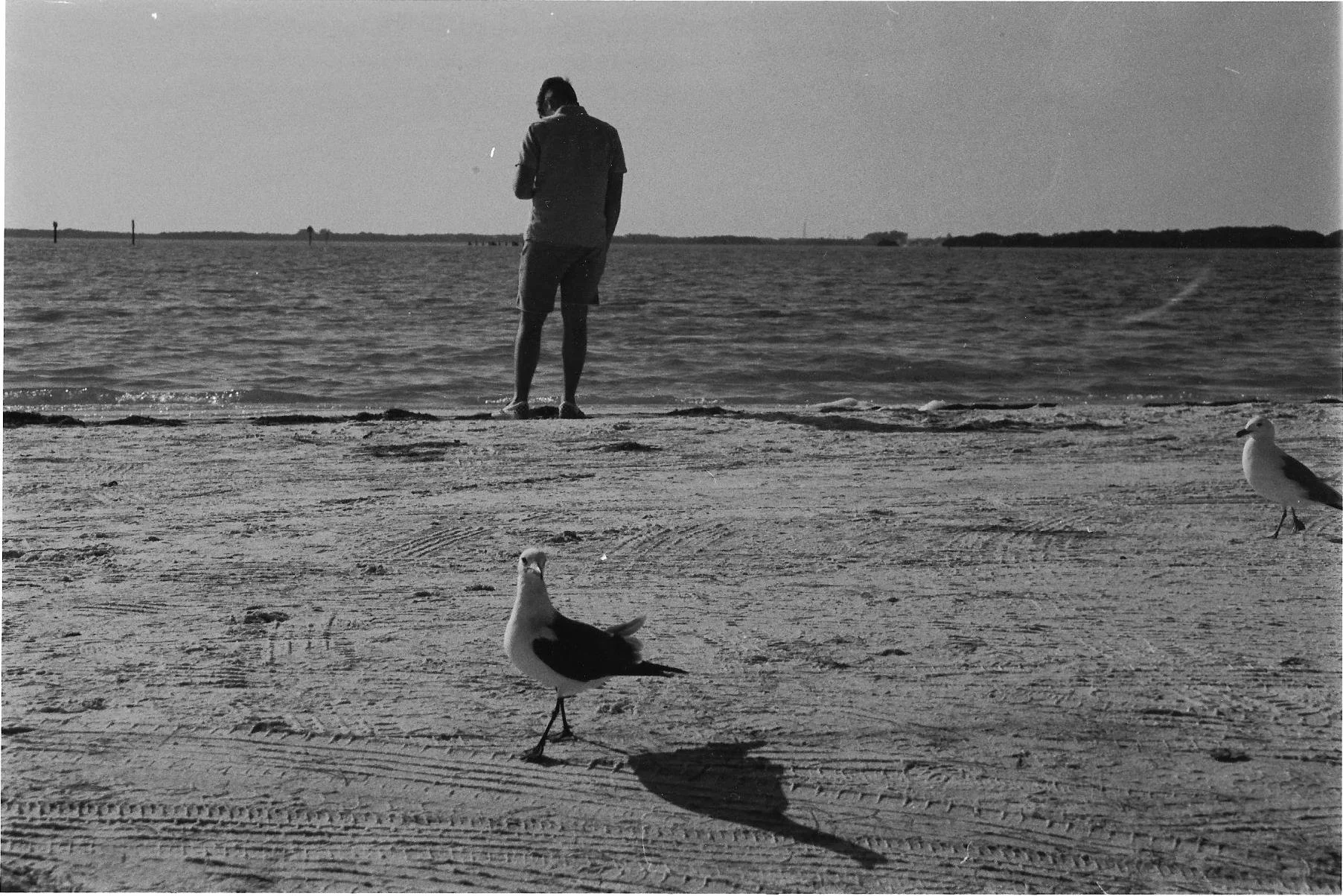 Scan of photo taken on a Florida beach shot on 35mm black and white film and printed/edited in darkroom