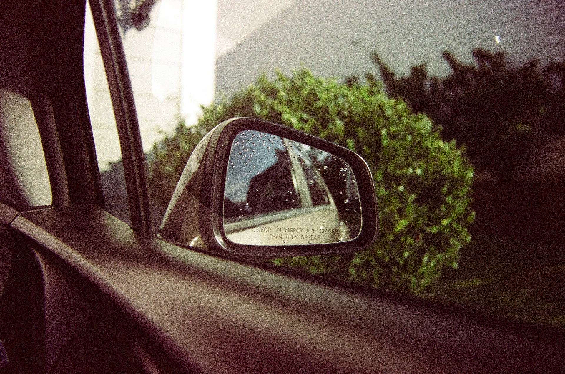 Fuji 200 (Expired from 2006)