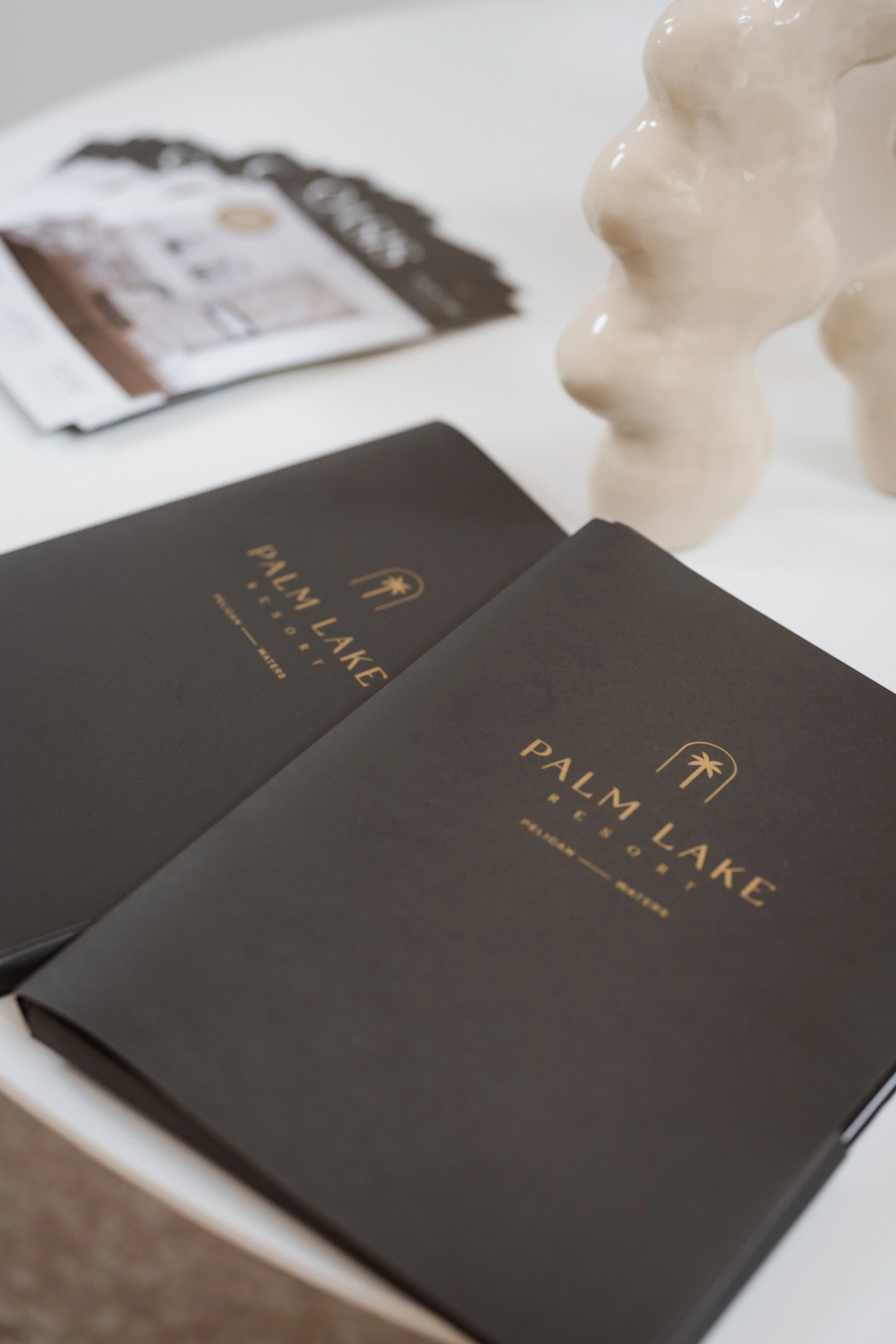 Close-up of a Property Developers brochure on a white table, with a beige abstract sculpture and pamphlet in the background.