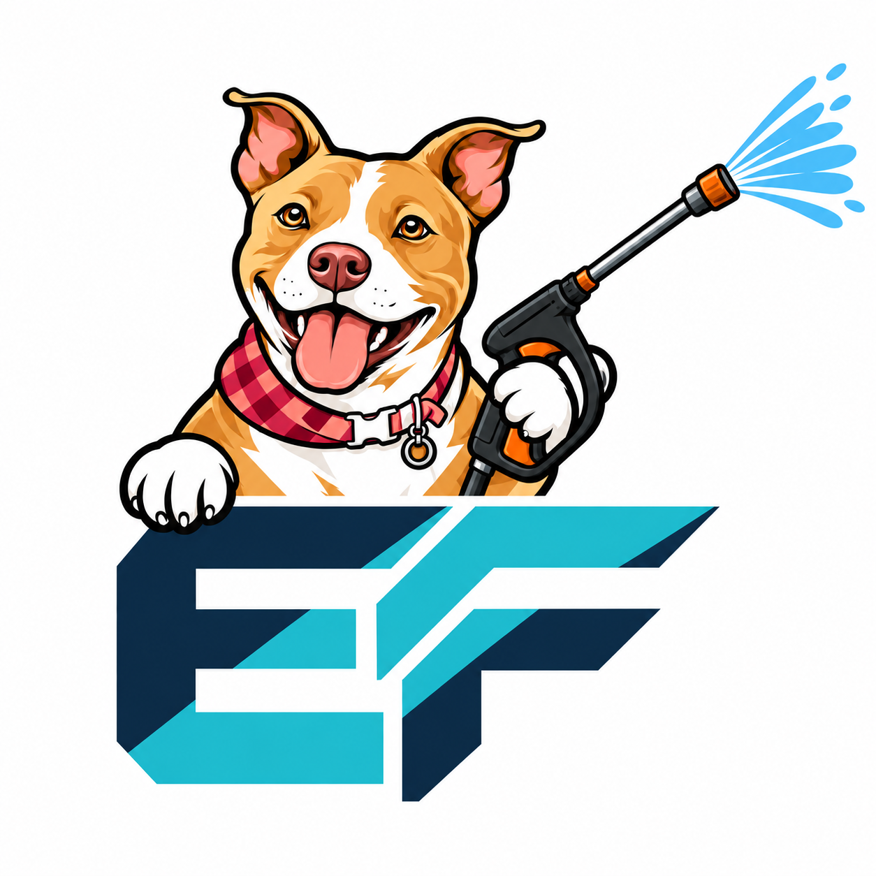 Echo Force Cleaning