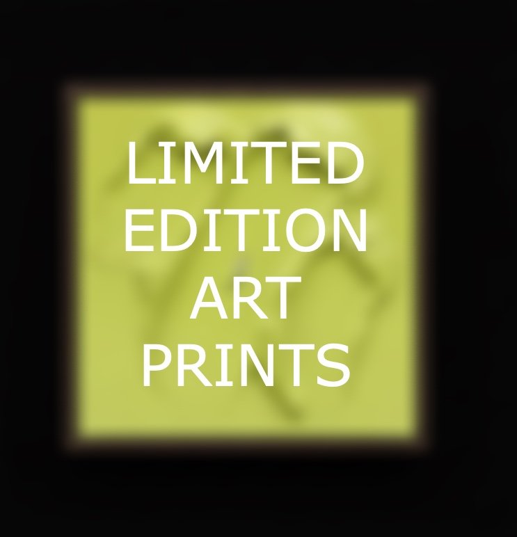 Text overlay on a black background reading 'Limited Edition Art Prints' over a blurred greenish-yellow background with a faint butterfly design.