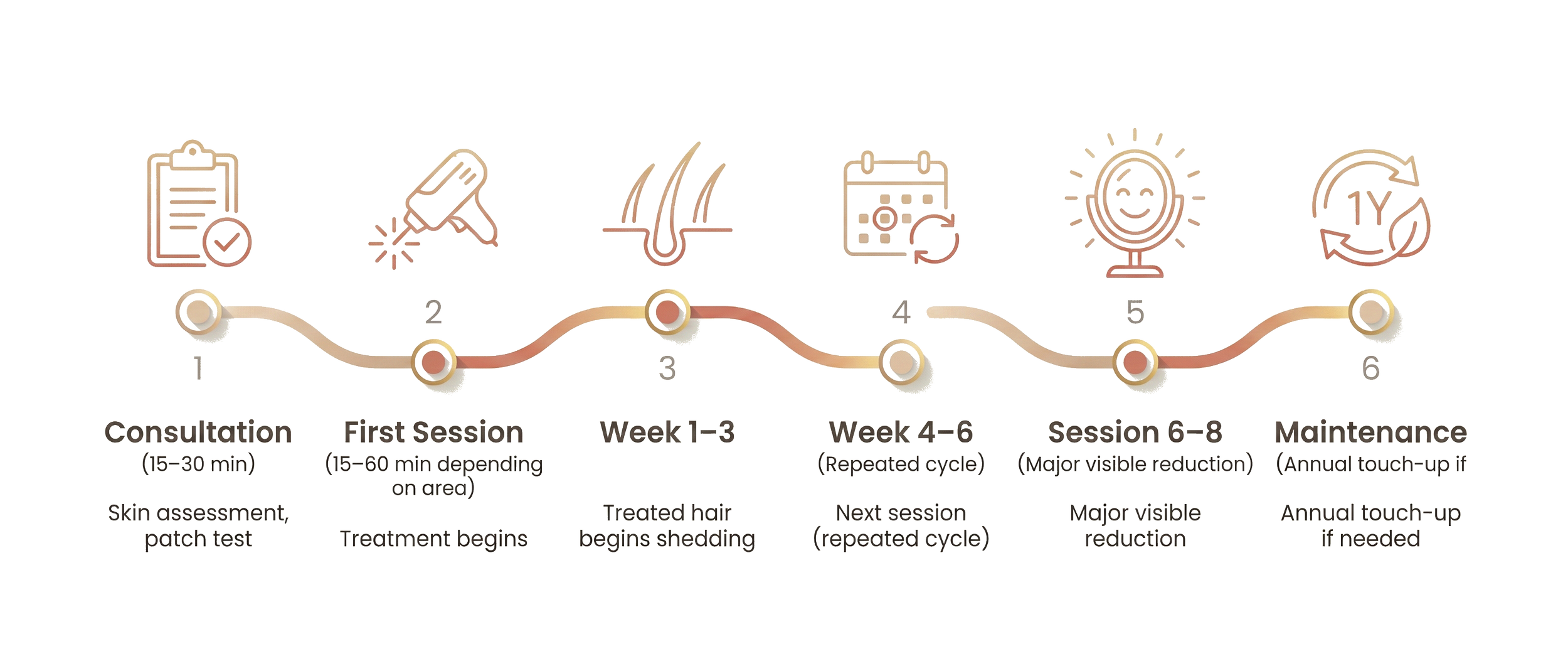 A timeline flowchart outlining a hair treatment process, from consultation through maintenance, with steps including skin assessment, treatment, hair shedding, repeated cycles, visible reduction, and annual touch-up.