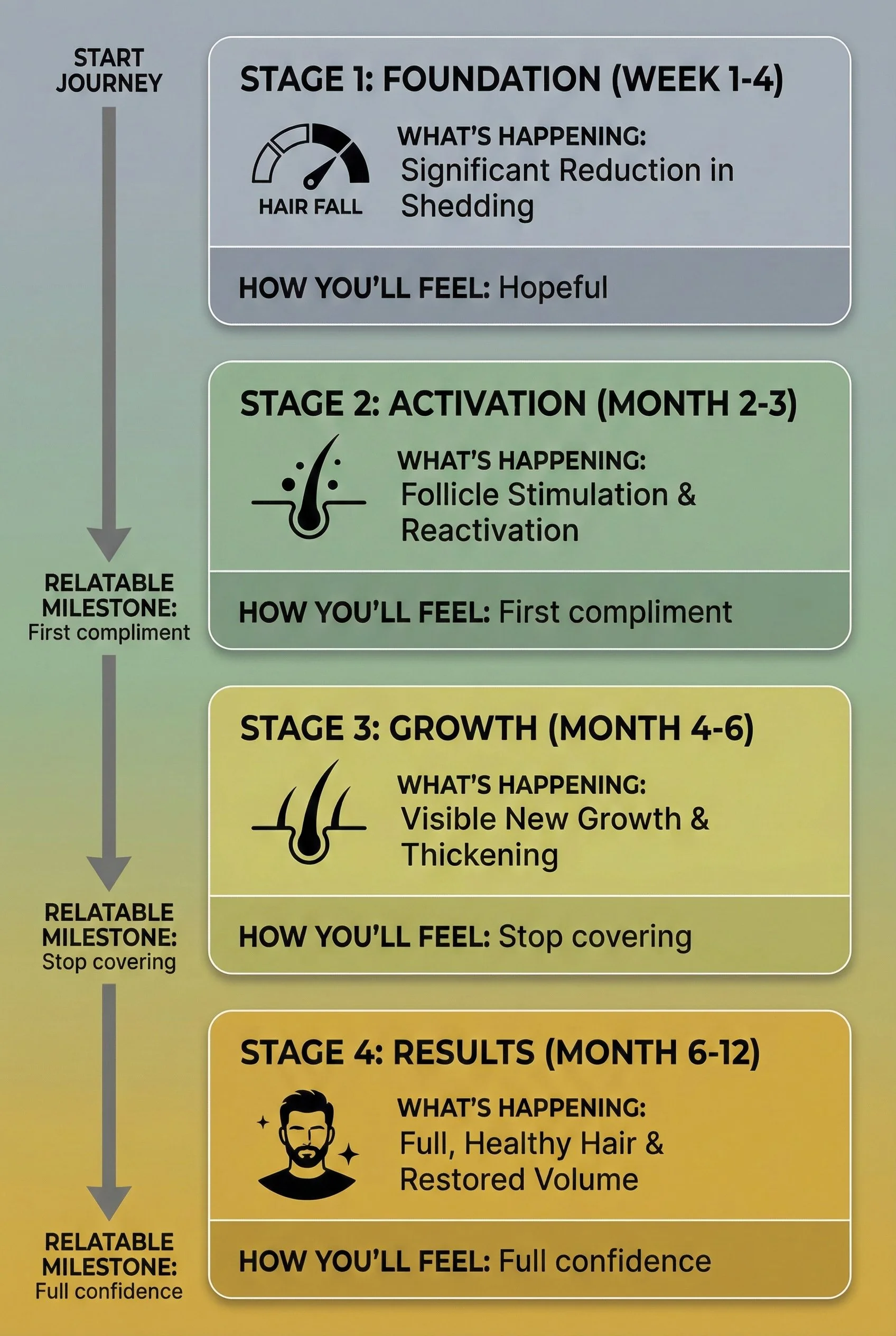 A four-stage hair growth improvement plan chart. Stage 1: Foundation (Week 1-4) focusing on hair fall reduction, feelings of hopefulness. Stage 2: Activation (Months 2-3) involving follicle stimulation, feelings of first compliment. Stage 3: Growth (Months 4-6) showing visible new growth, feelings of stopping covering. Stage 4: Results (Months 6-12) with full healthy hair, feelings of full confidence.