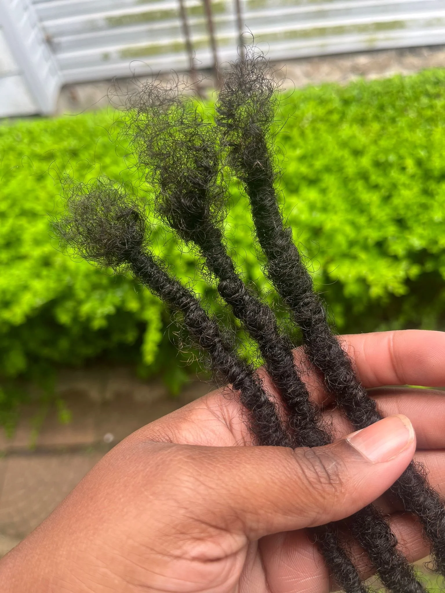 processed_db072b63bfcf46b28aff5dcbff7268e5.jpeg (Copy) (Copy)