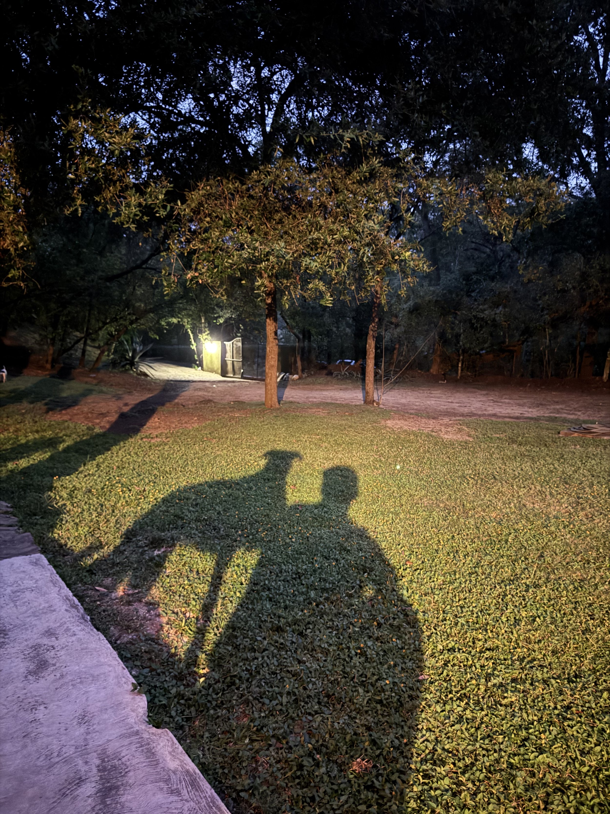 Sombra de una persona y un perro en un césped, en un parque al atardecer, con árboles y un arbusto, y una puerta con luz en el fondo.