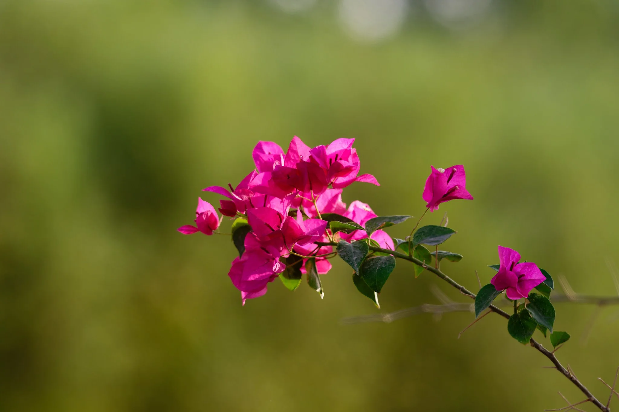 Z9T_6128_DxO.jpg