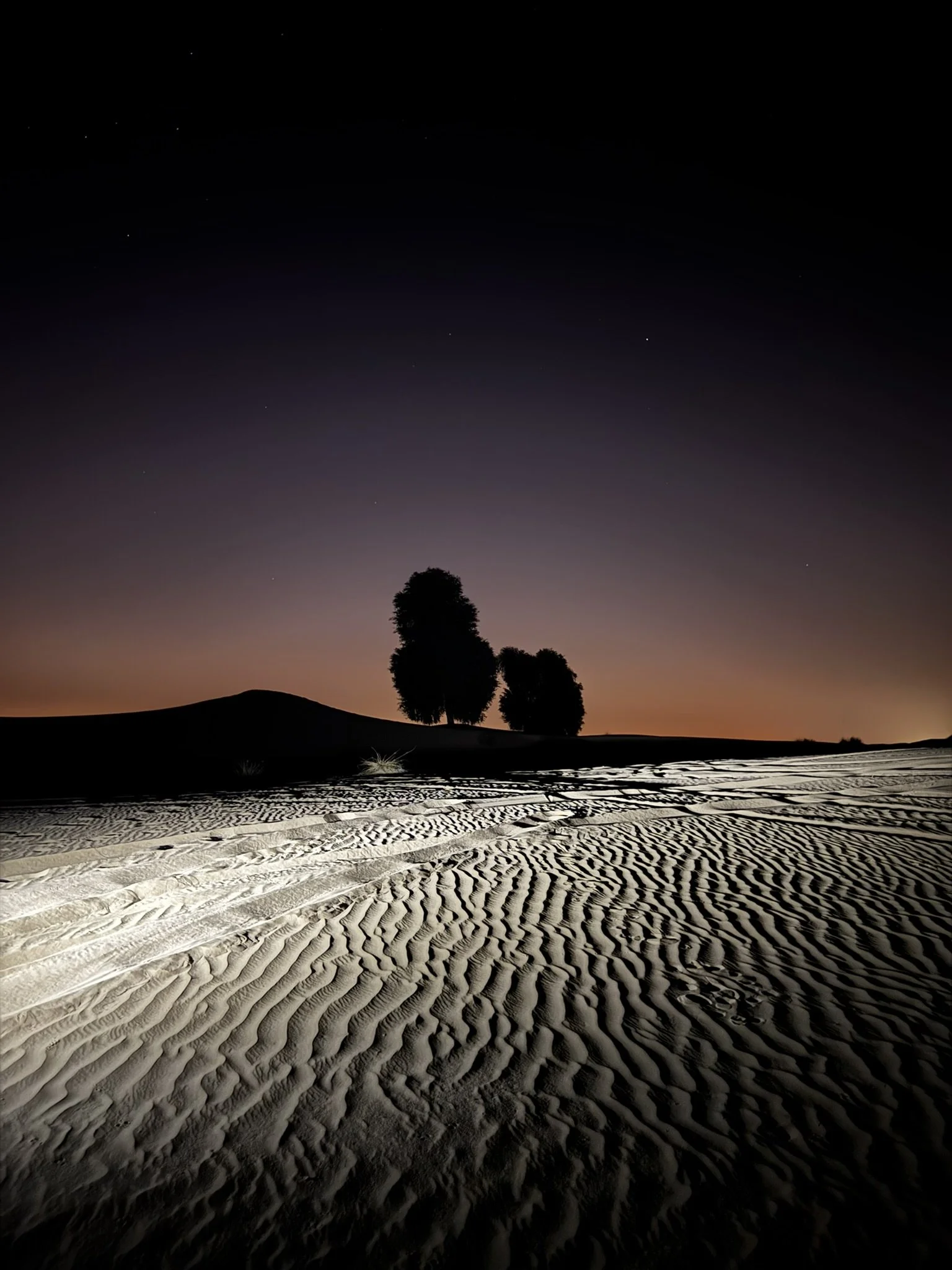 Nighttime desert scene with rippled sand dunes, silhouetted trees, and a dark sky with faint stars.