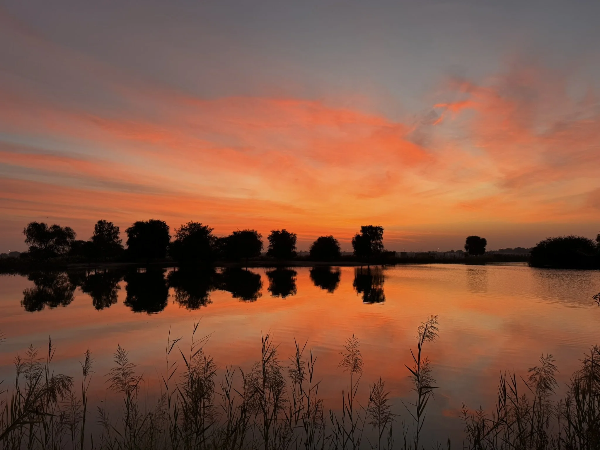 A serene sunset over a body of water with silhouetted trees reflecting on the surface, featuring pink and orange clouds in the sky.