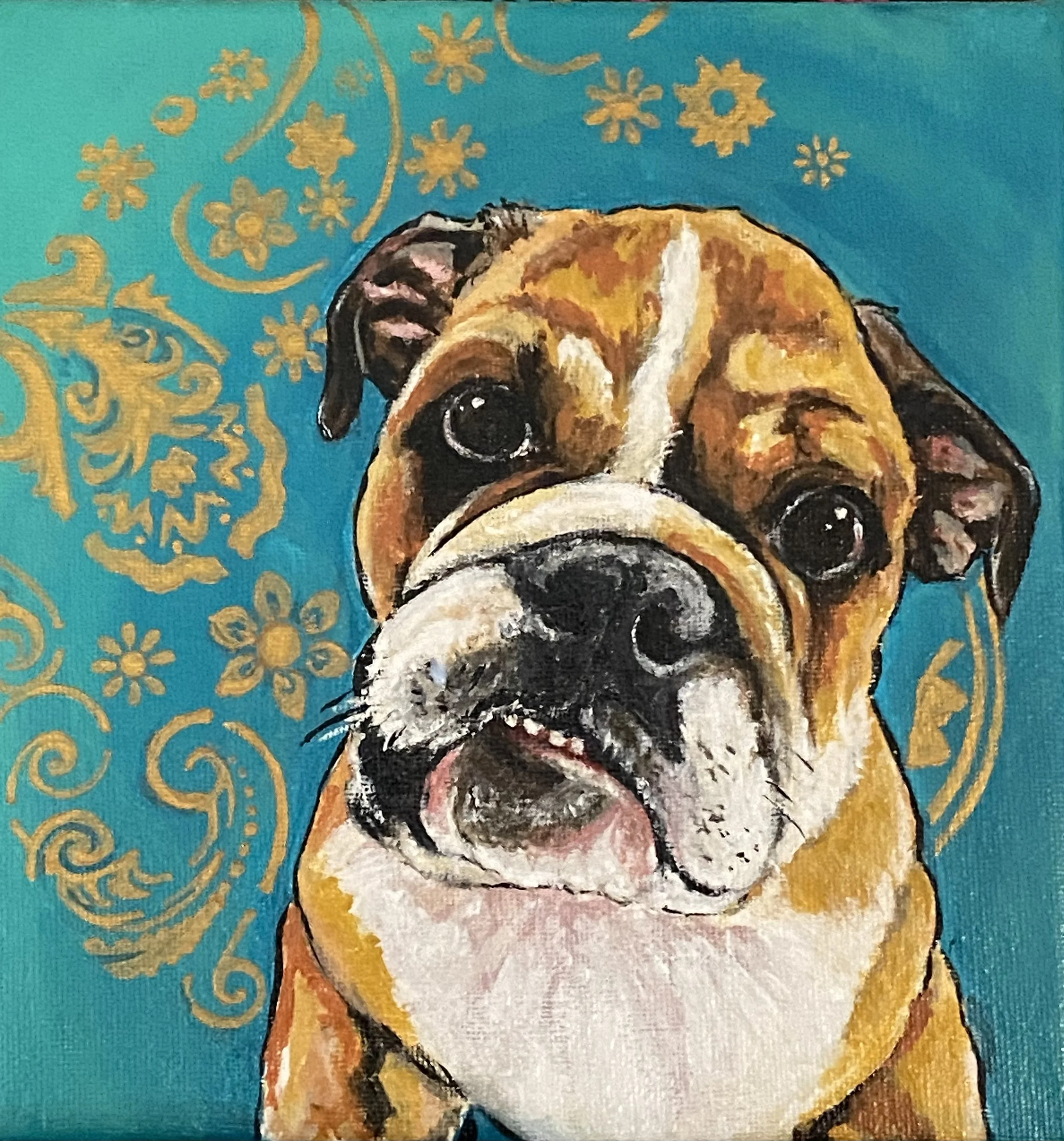 Hank the English Bulldog 